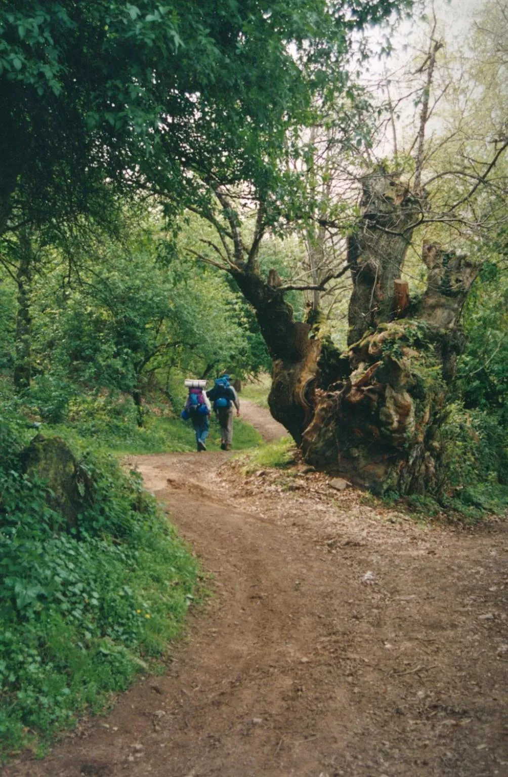 Hiking in Hotel Alfonso IX