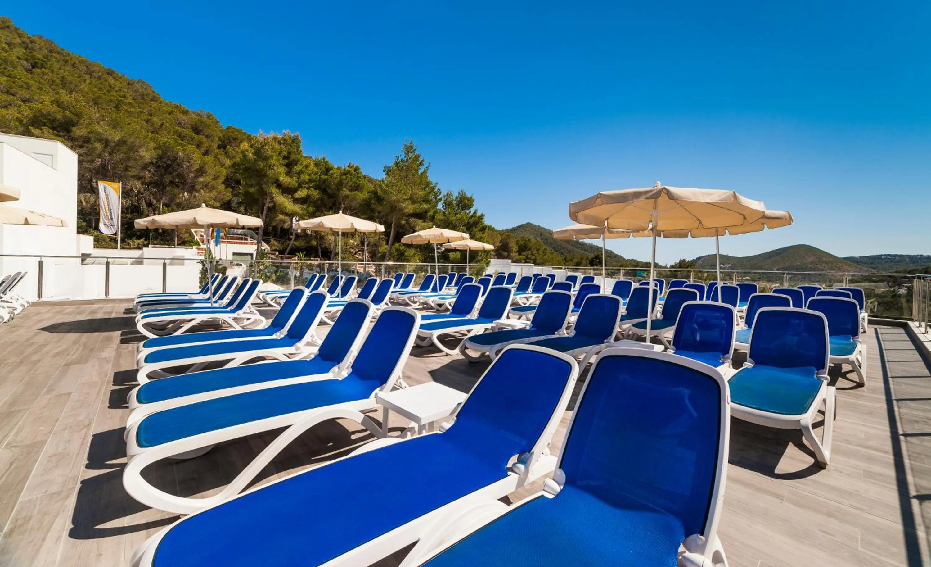 Garden in Globales Montemar