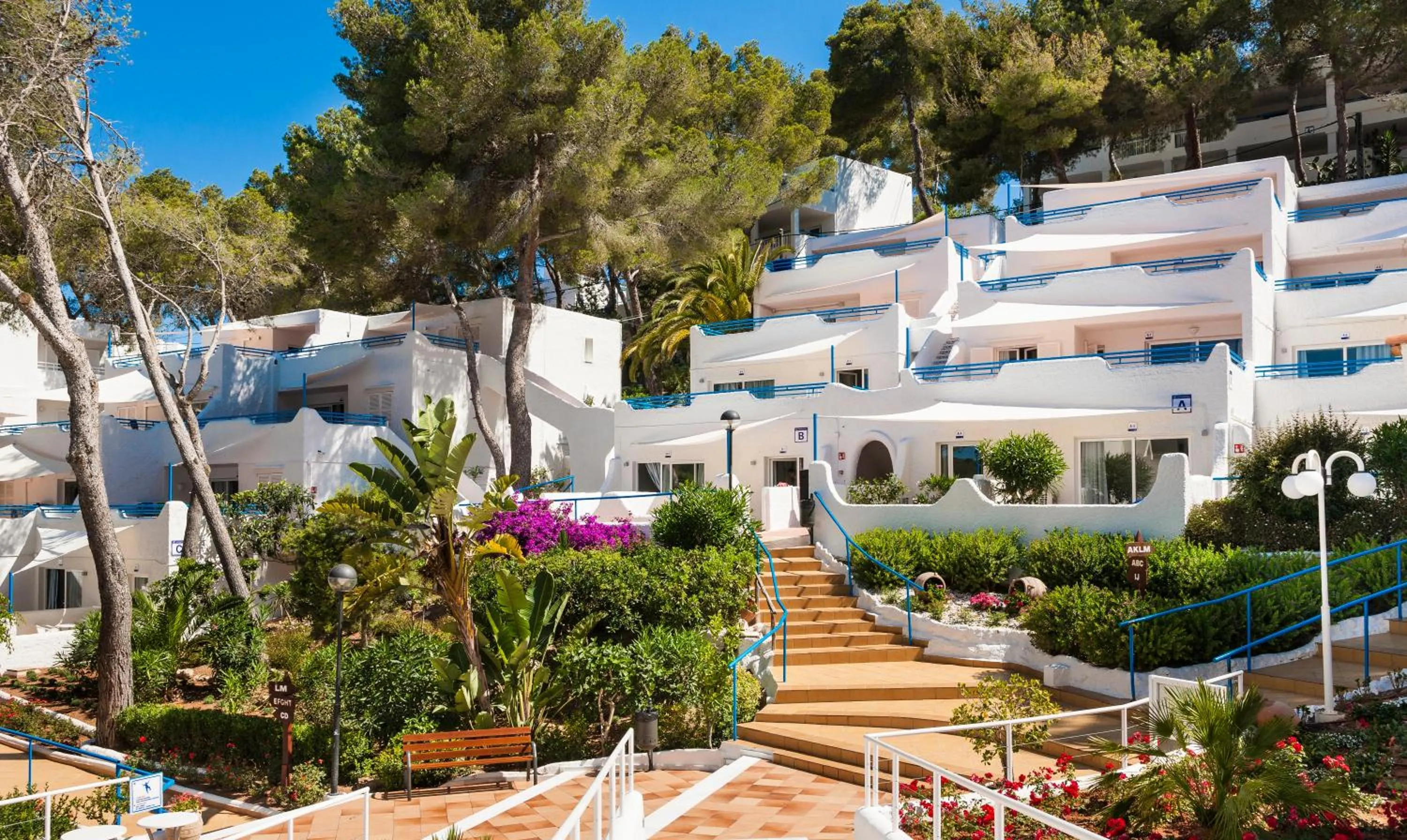 Garden in Globales Montemar