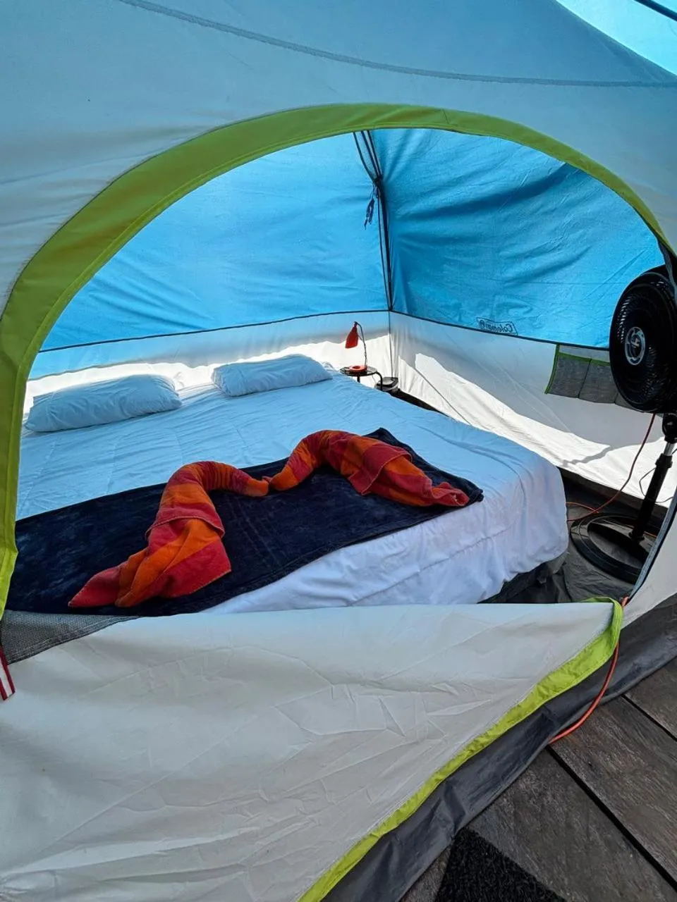 Bed in Yes Please! Hostel