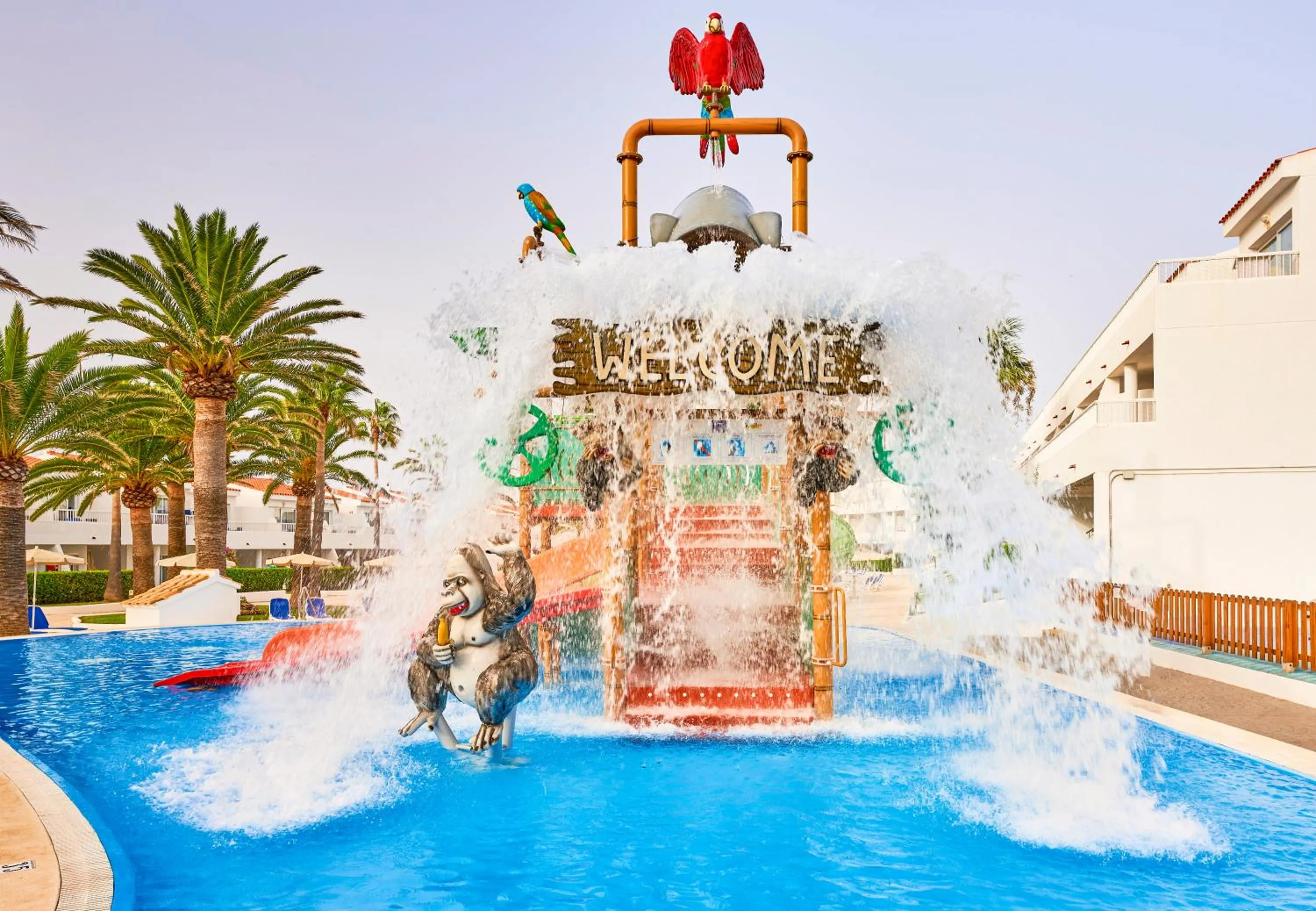 Swimming pool in Globales Los Delfines