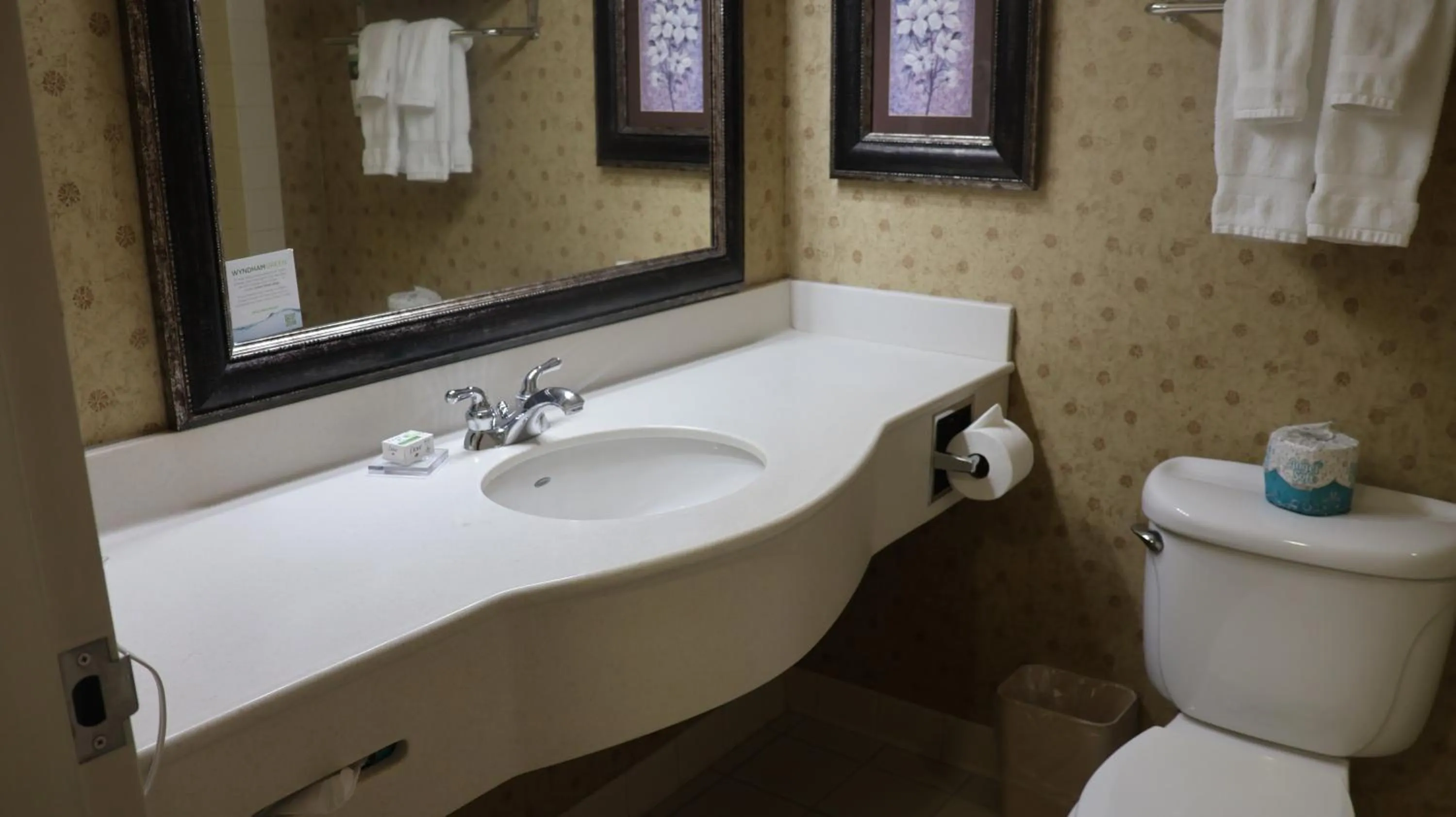 Bathroom in Wingate by Wyndham Peoria - Complimentary Area Shuttle