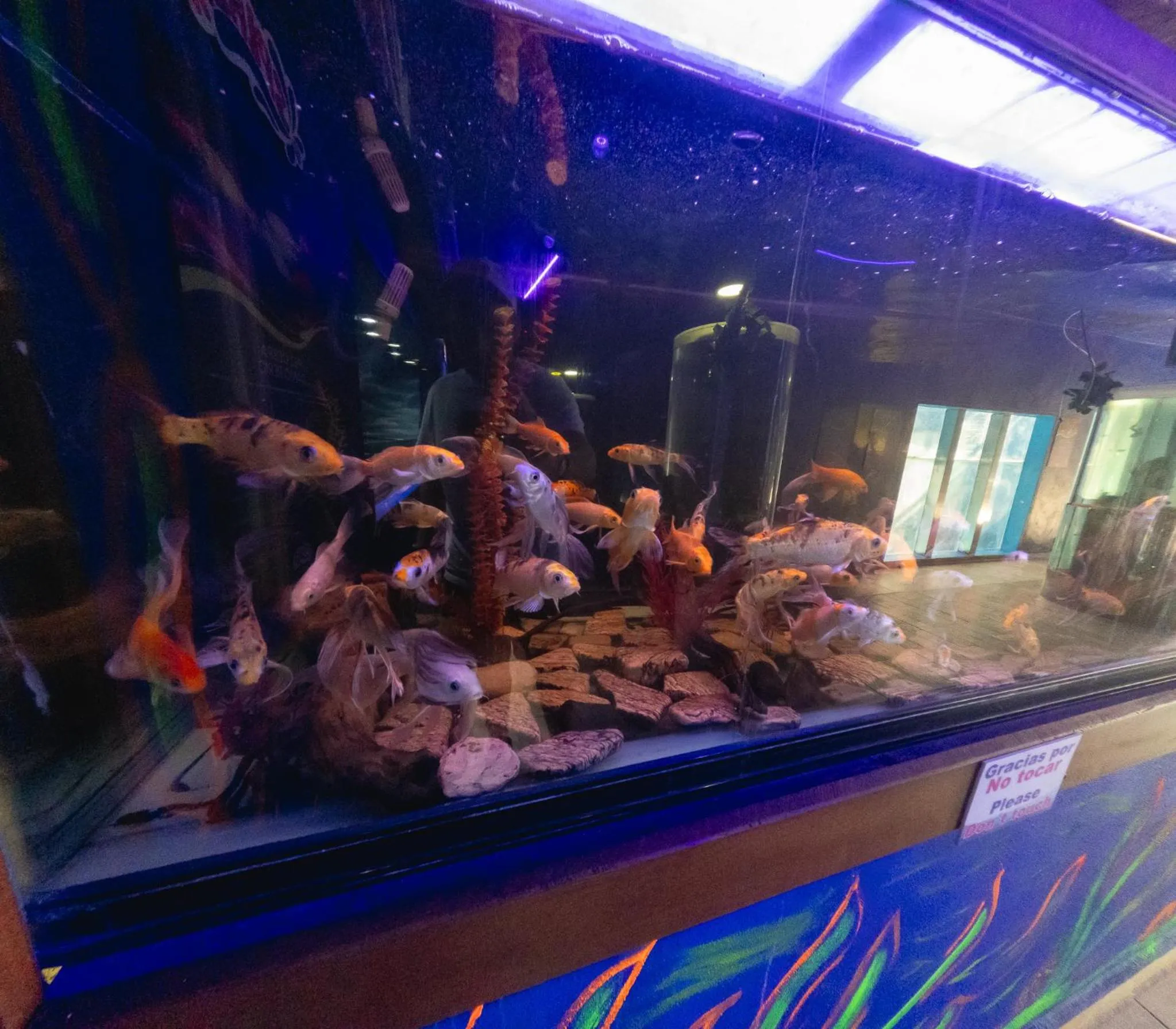 Aqua park in Splash Inn Nuevo Vallarta & Parque Acuatico