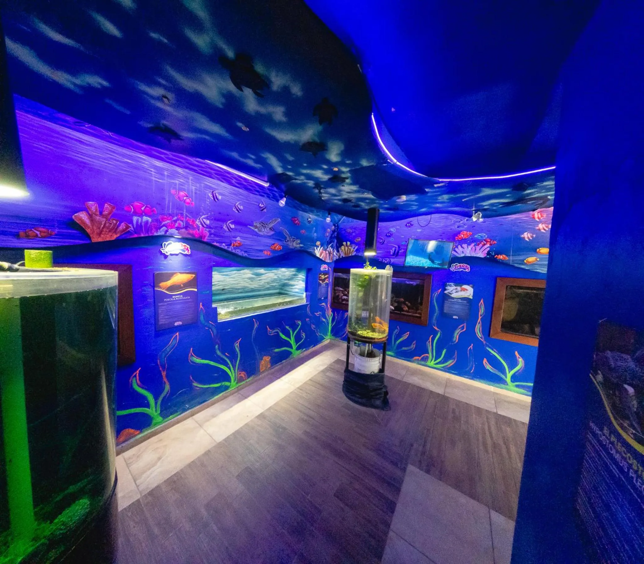 Aqua park in Splash Inn Nuevo Vallarta & Parque Acuatico