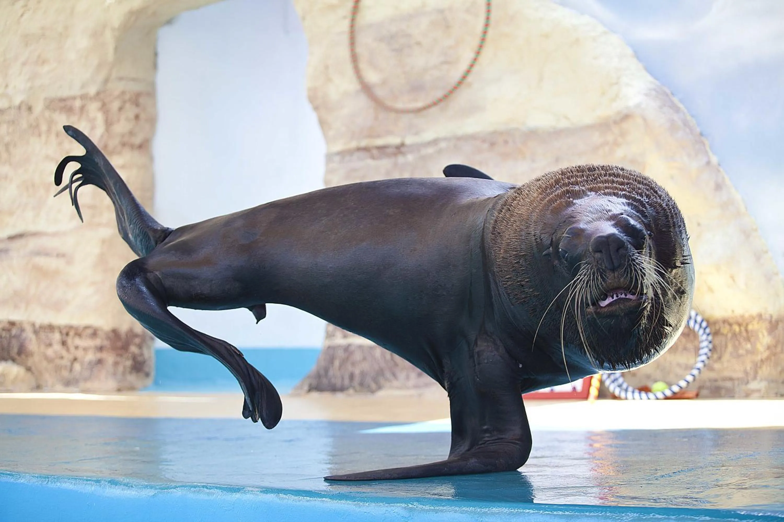 Other in Splash Inn Nuevo Vallarta & Parque Acuatico