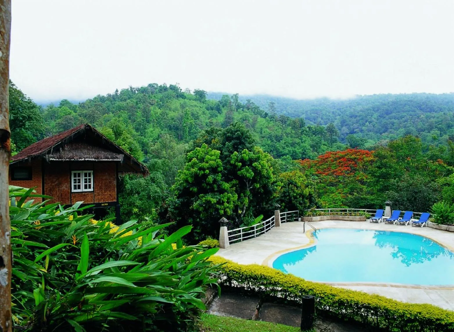 Swimming pool in Mae Sa Valley Farm Stay Resort