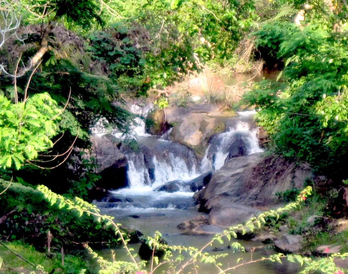 Mae Sa Valley Farm Stay Resort