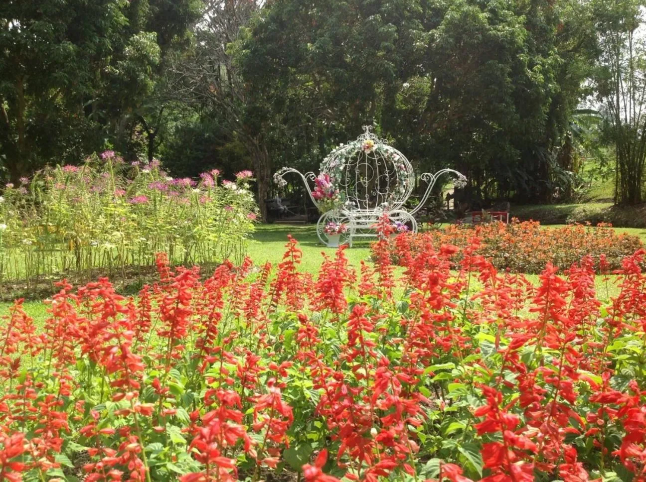 Garden in Mae Sa Valley Farm Stay Resort