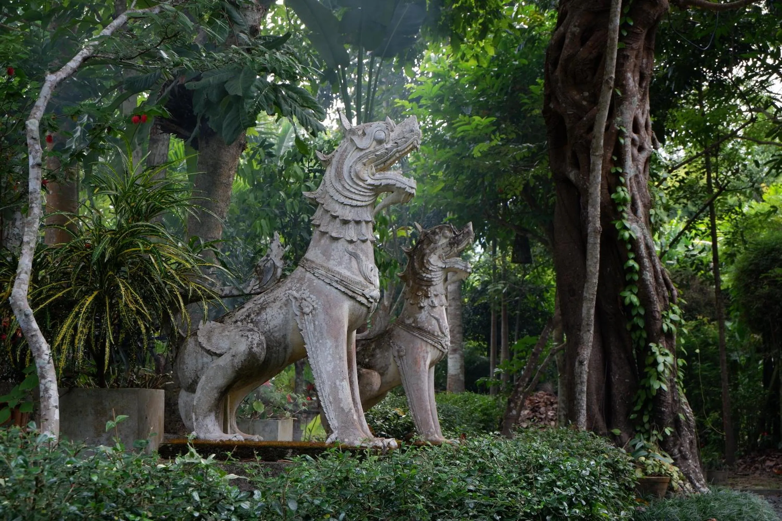 Natural landscape in Mae Nai Gardens