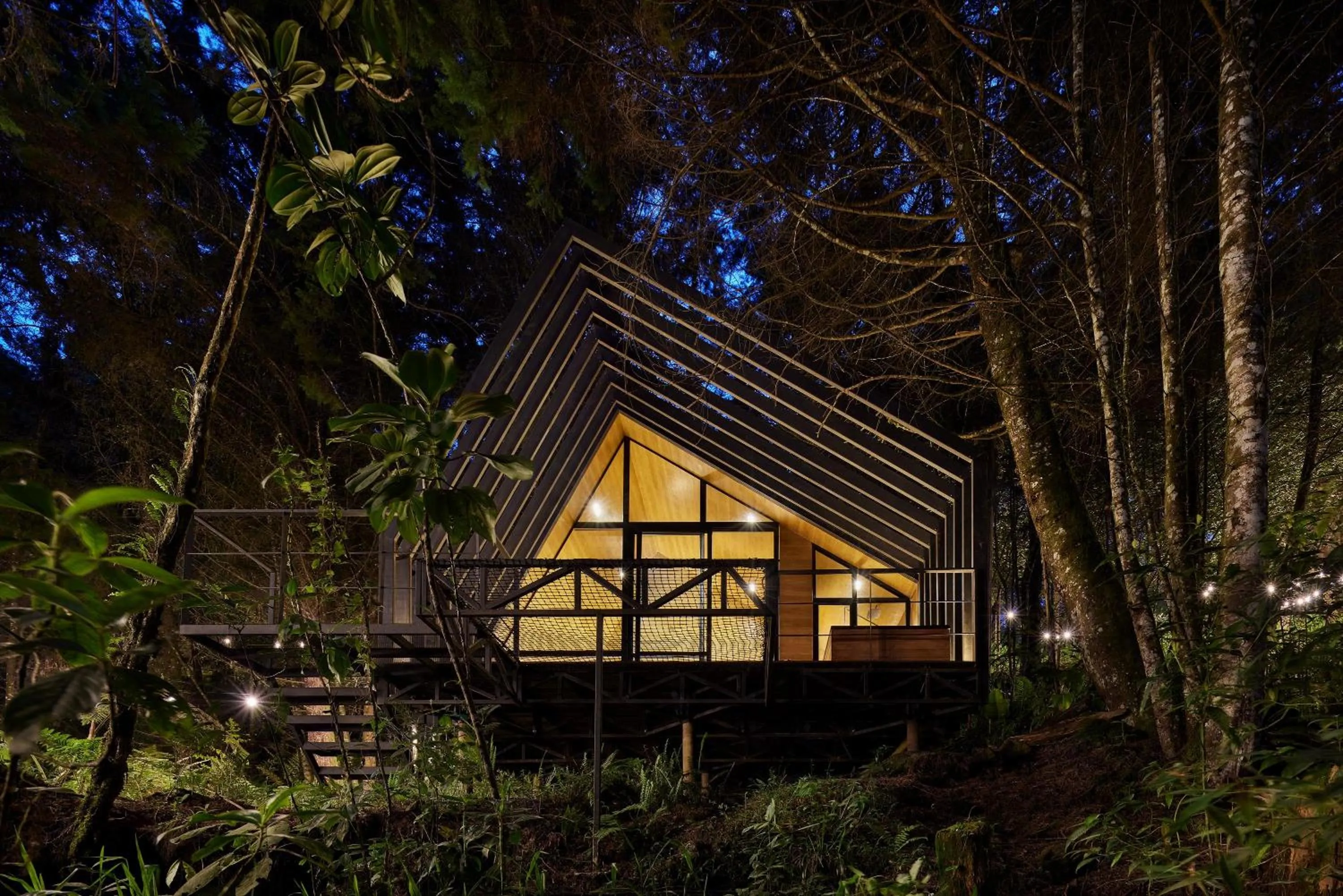 Oculto refugio de bosque