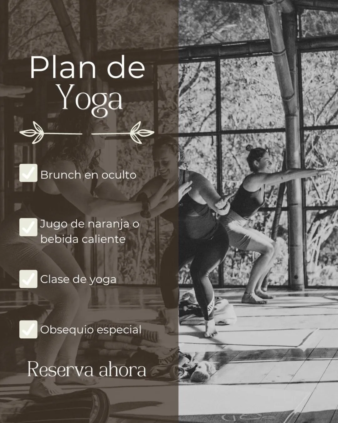 Property building in Oculto refugio de bosque