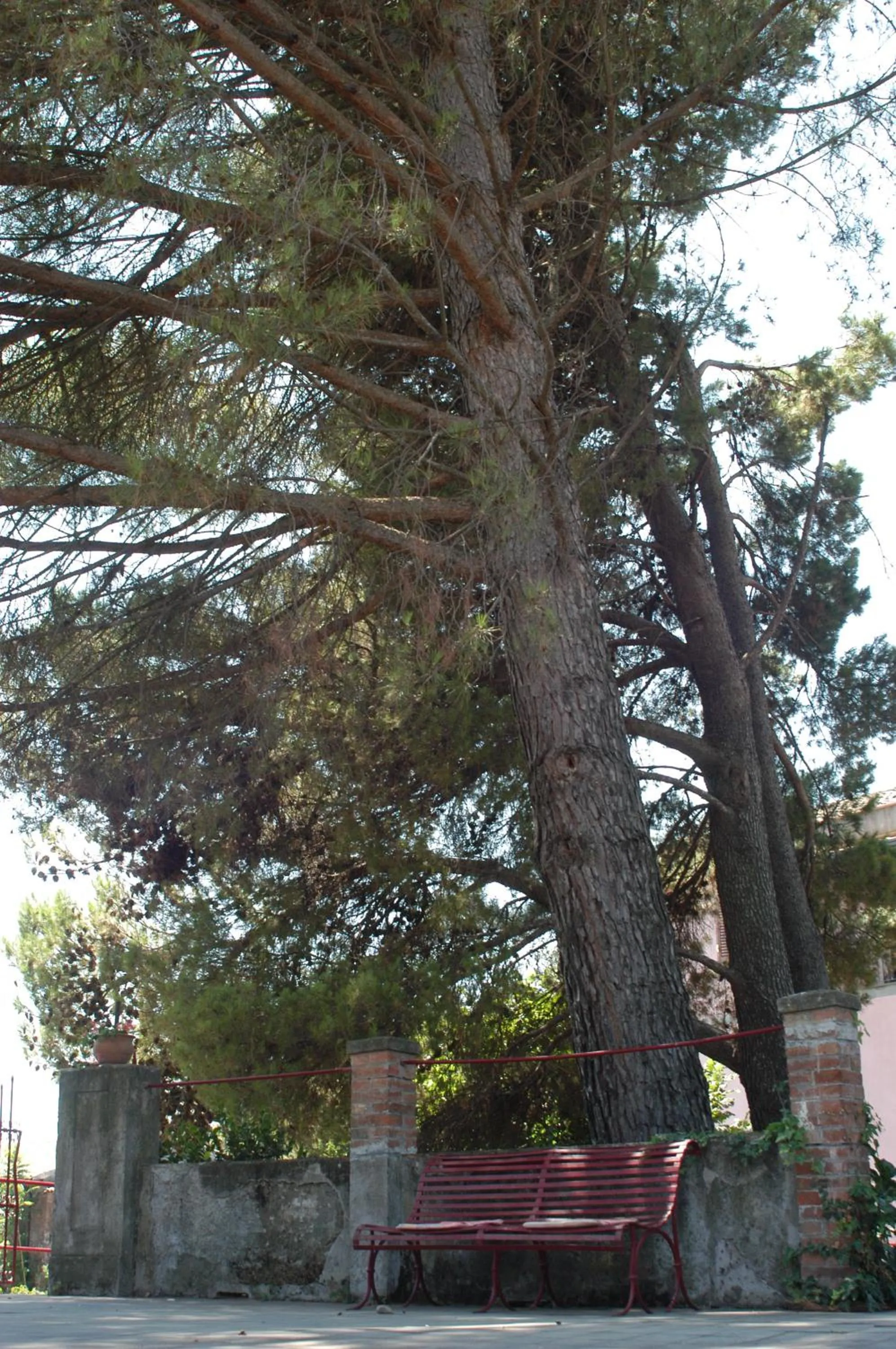 Balcony/Terrace in B&B Sotto i Pini