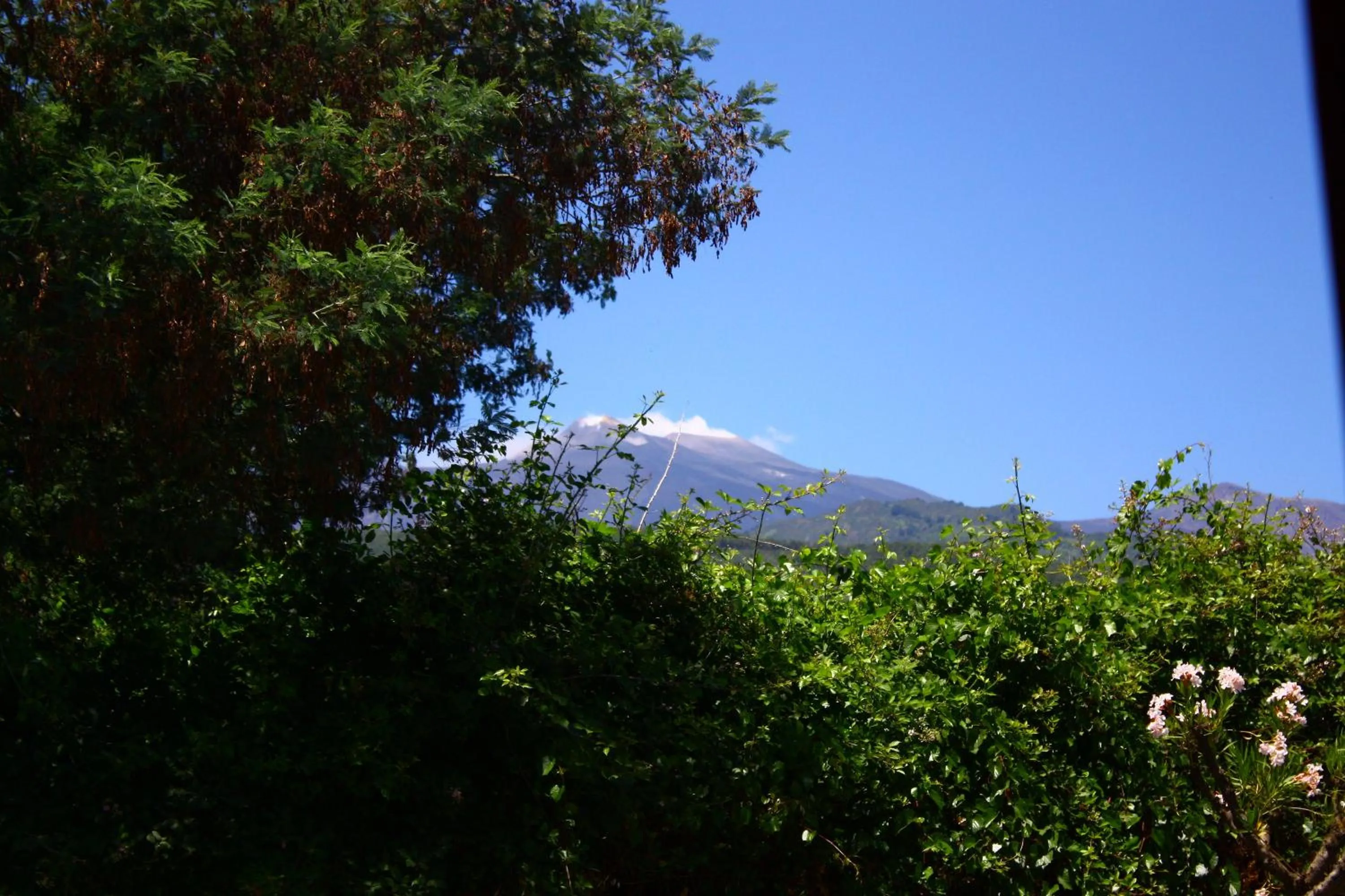 Mountain view in B&B Sotto i Pini