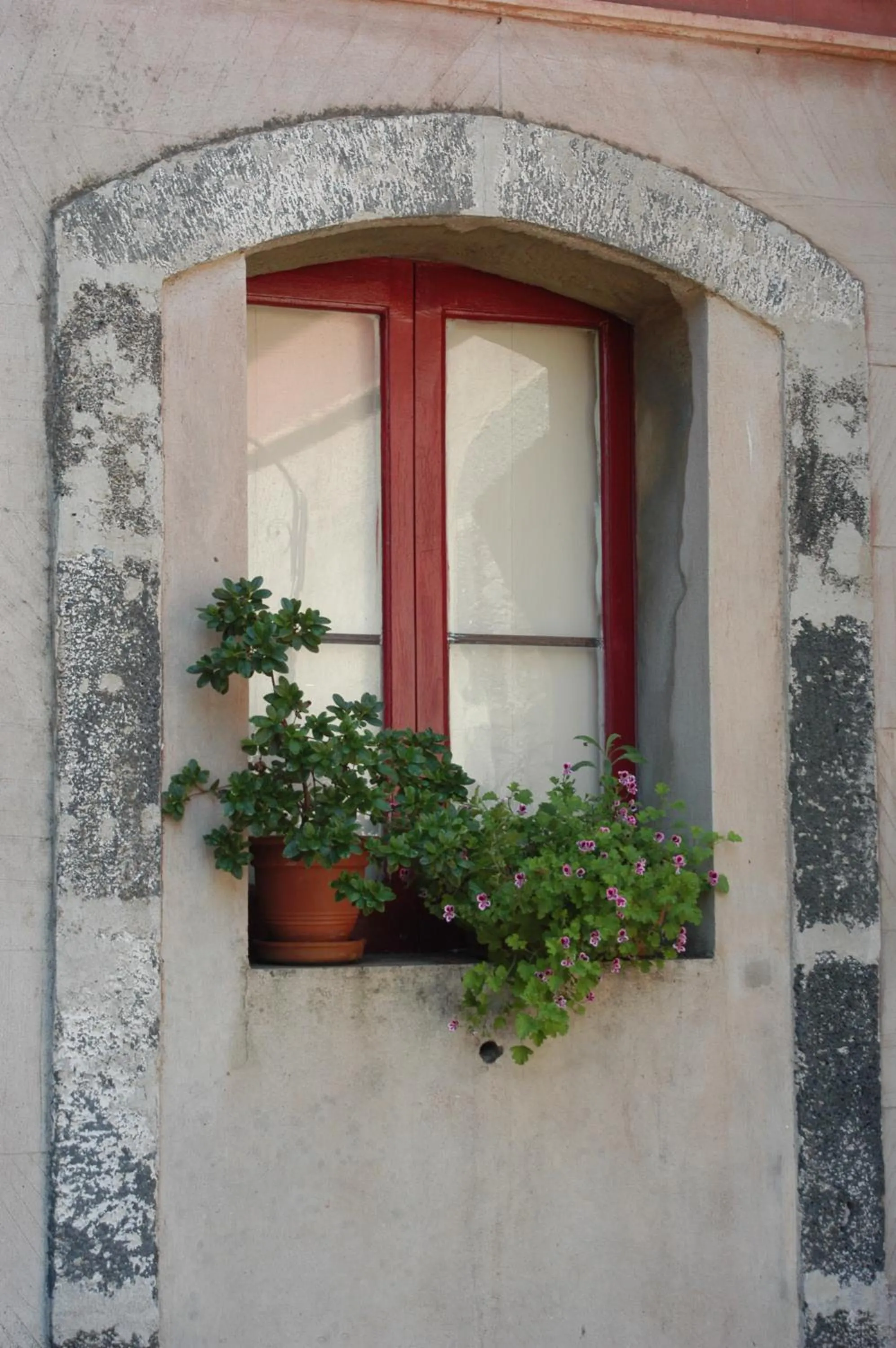 Property building in B&B Sotto i Pini