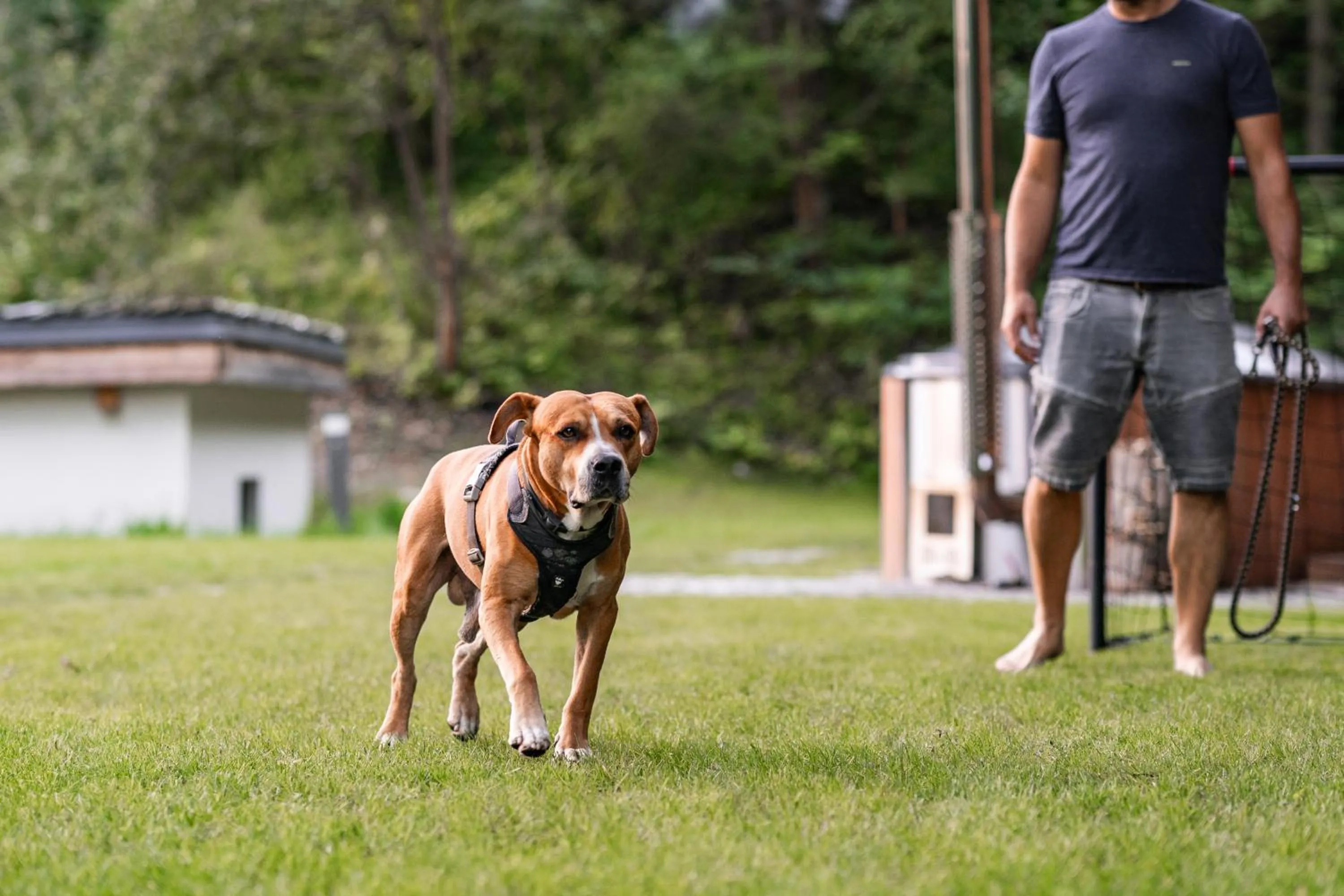 Natural landscape in Apartmány NONE
