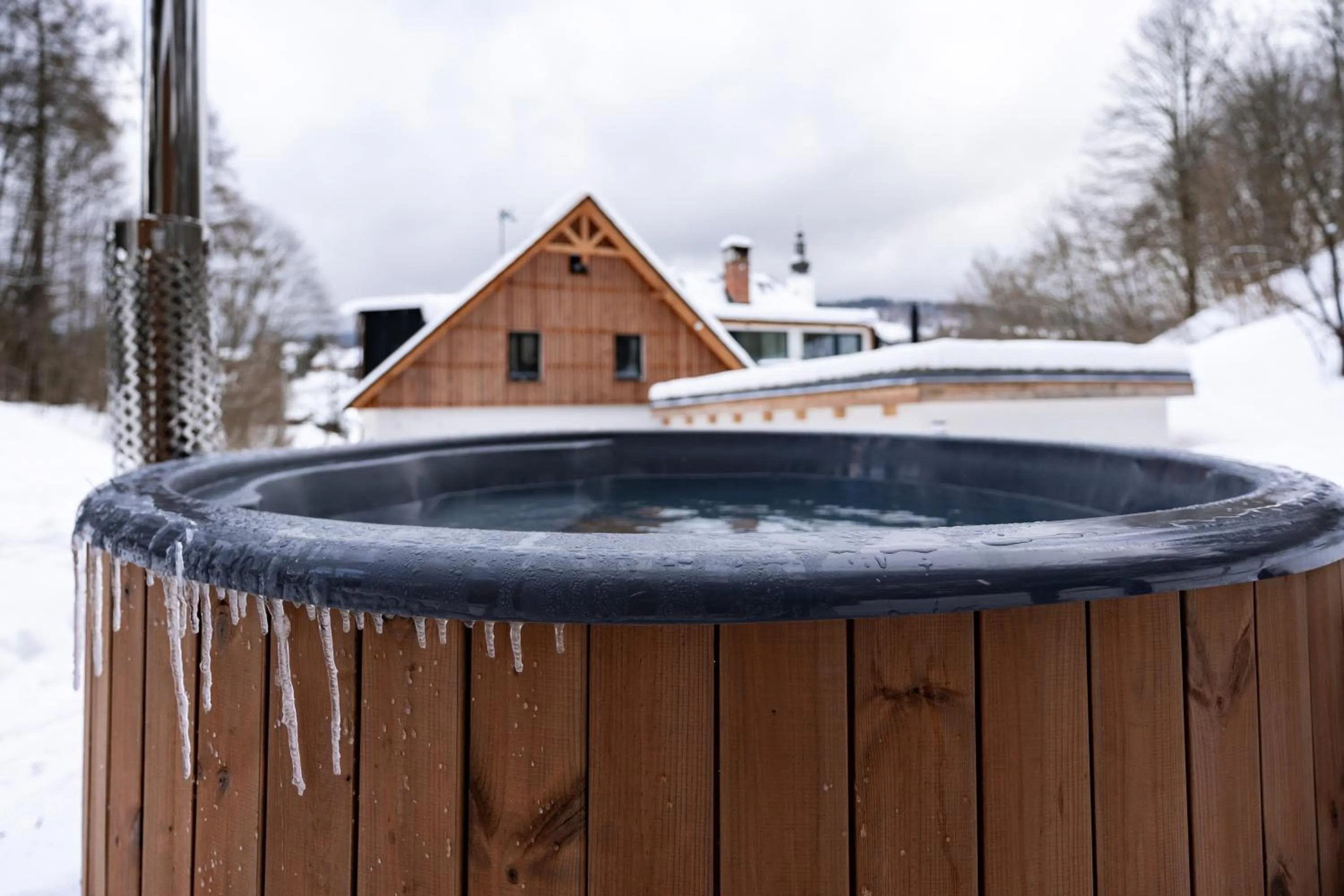 Winter in Apartmány NONE