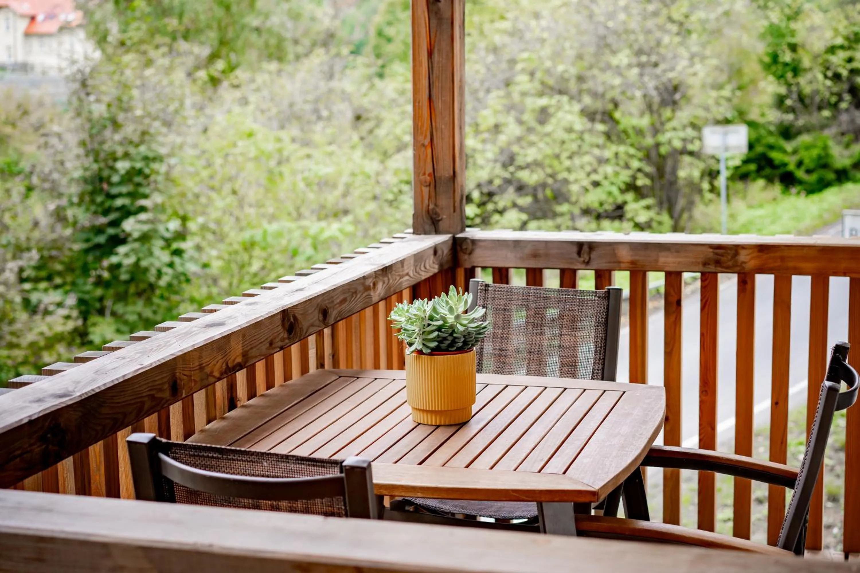 View (from property/room) in Apartmány NONE