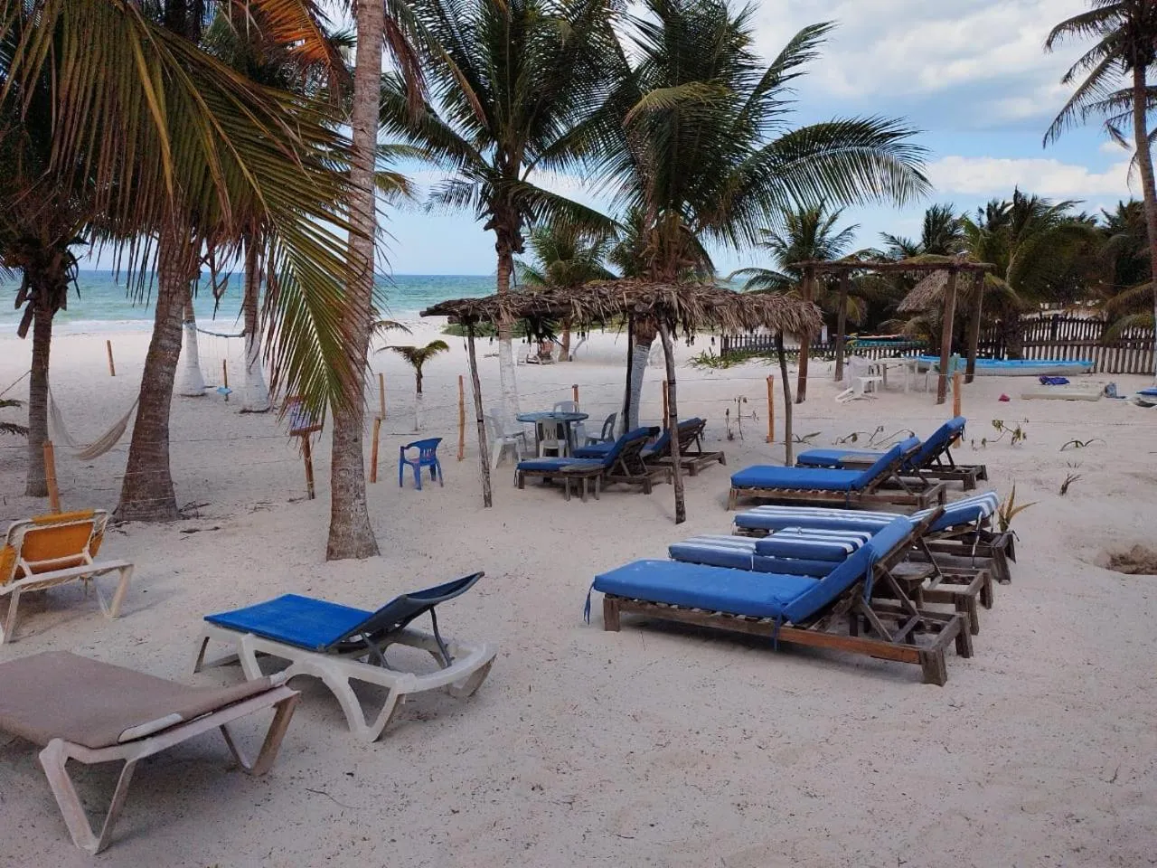 Garden view in Casa Mate BeachFront HOUSES El Cuyo