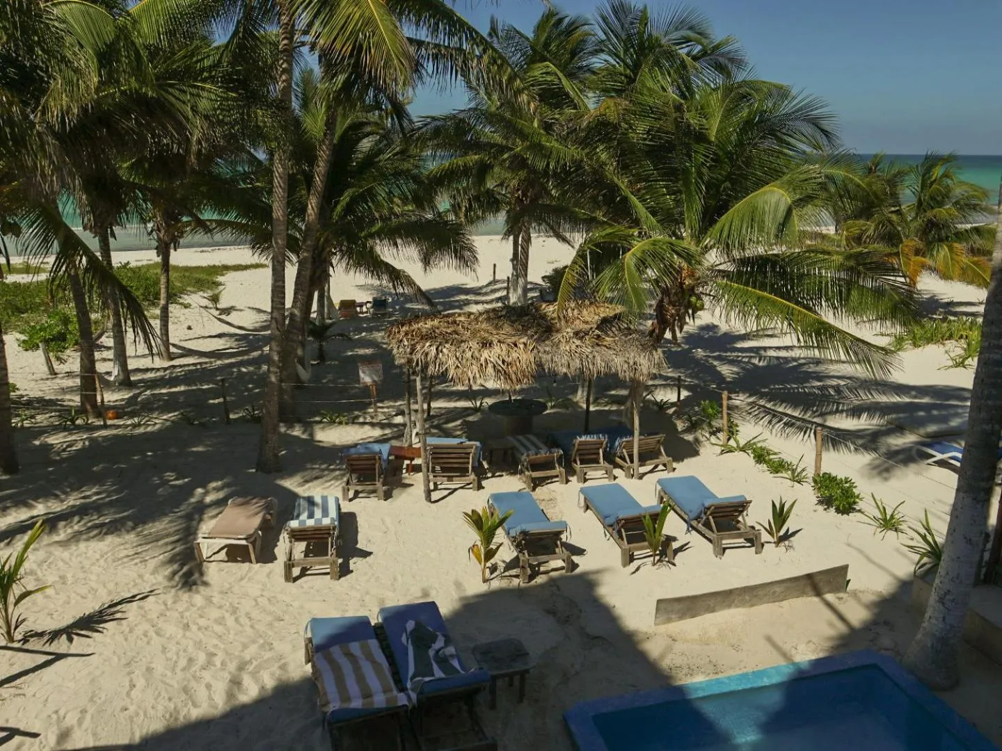 Natural landscape in Casa Mate BeachFront HOUSES El Cuyo