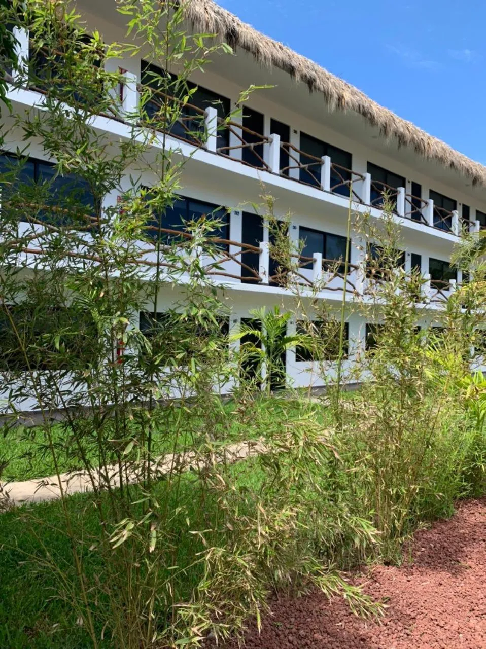 Garden in Mar De Estrellas - Hotel