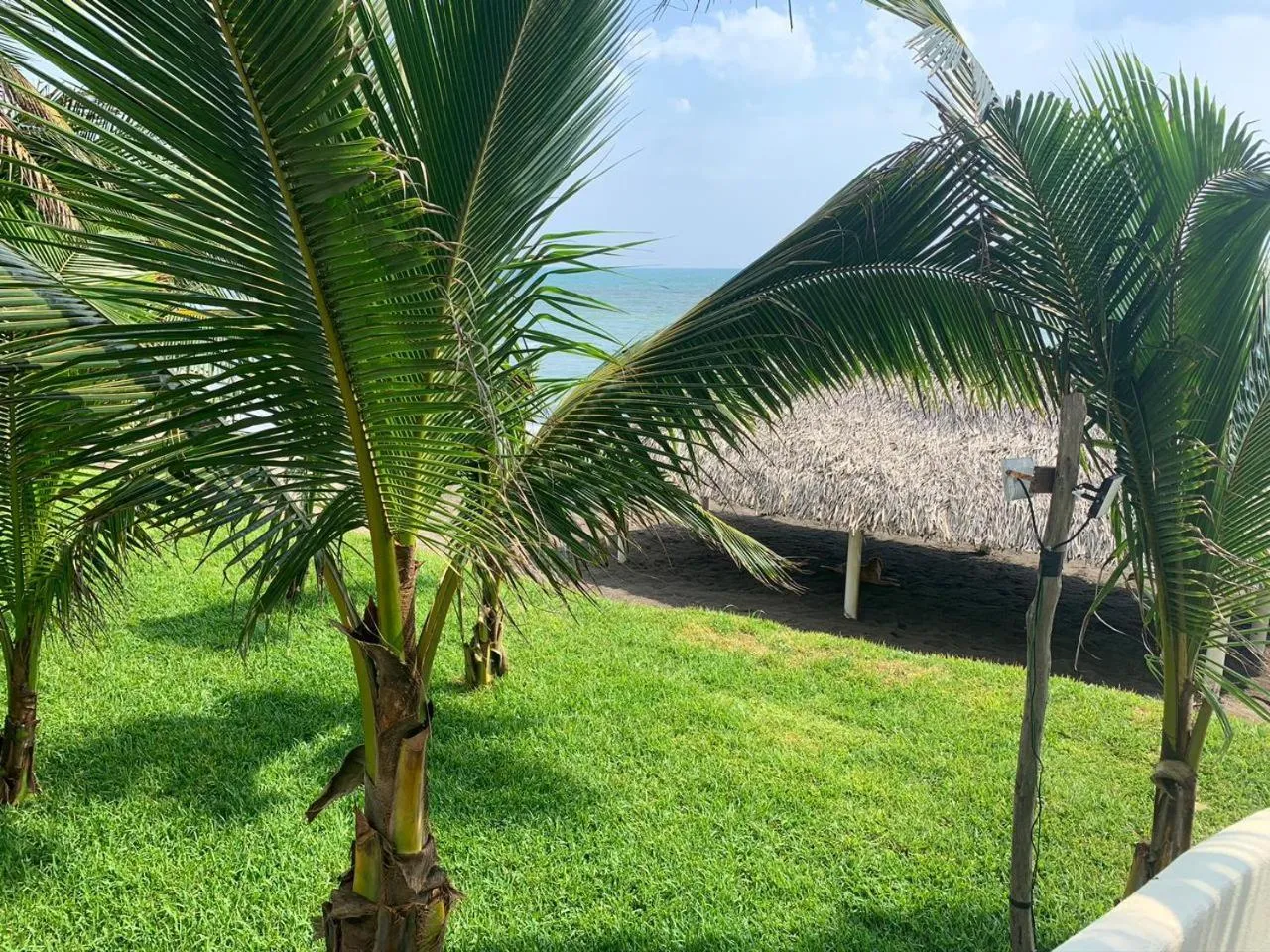 Garden view in Mar De Estrellas - Hotel