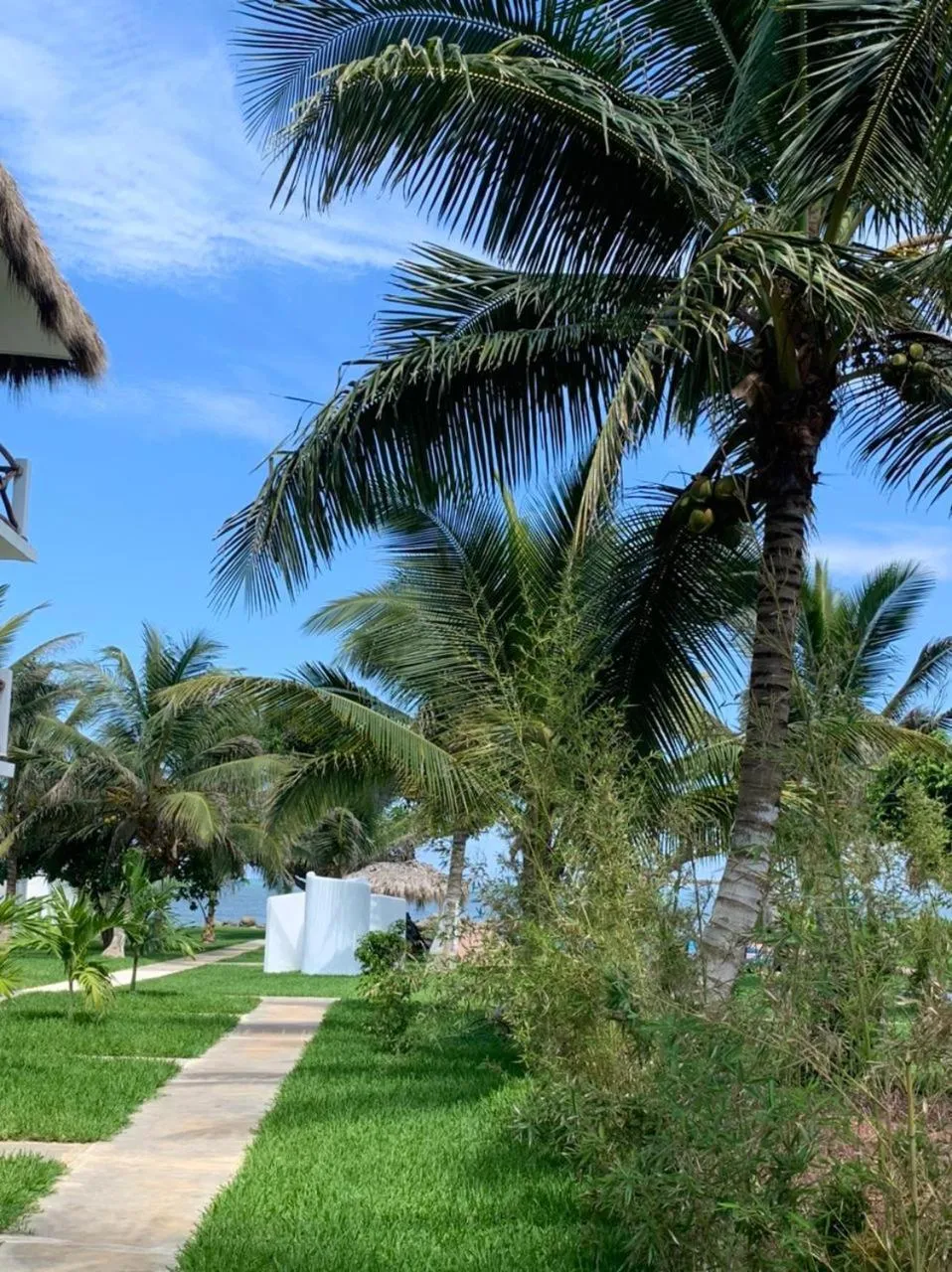 Garden in Mar De Estrellas - Hotel