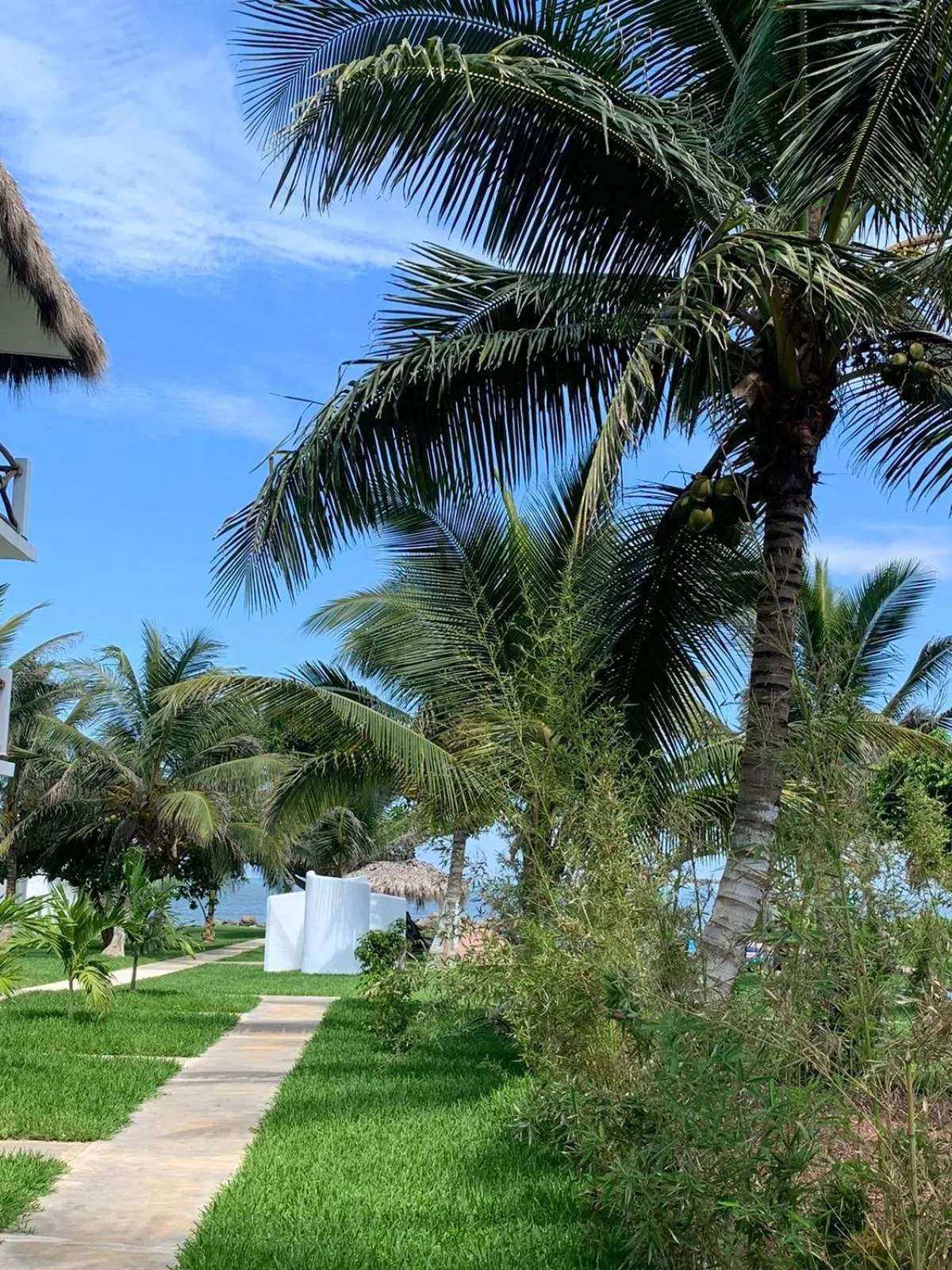 Garden in Mar De Estrellas - Hotel