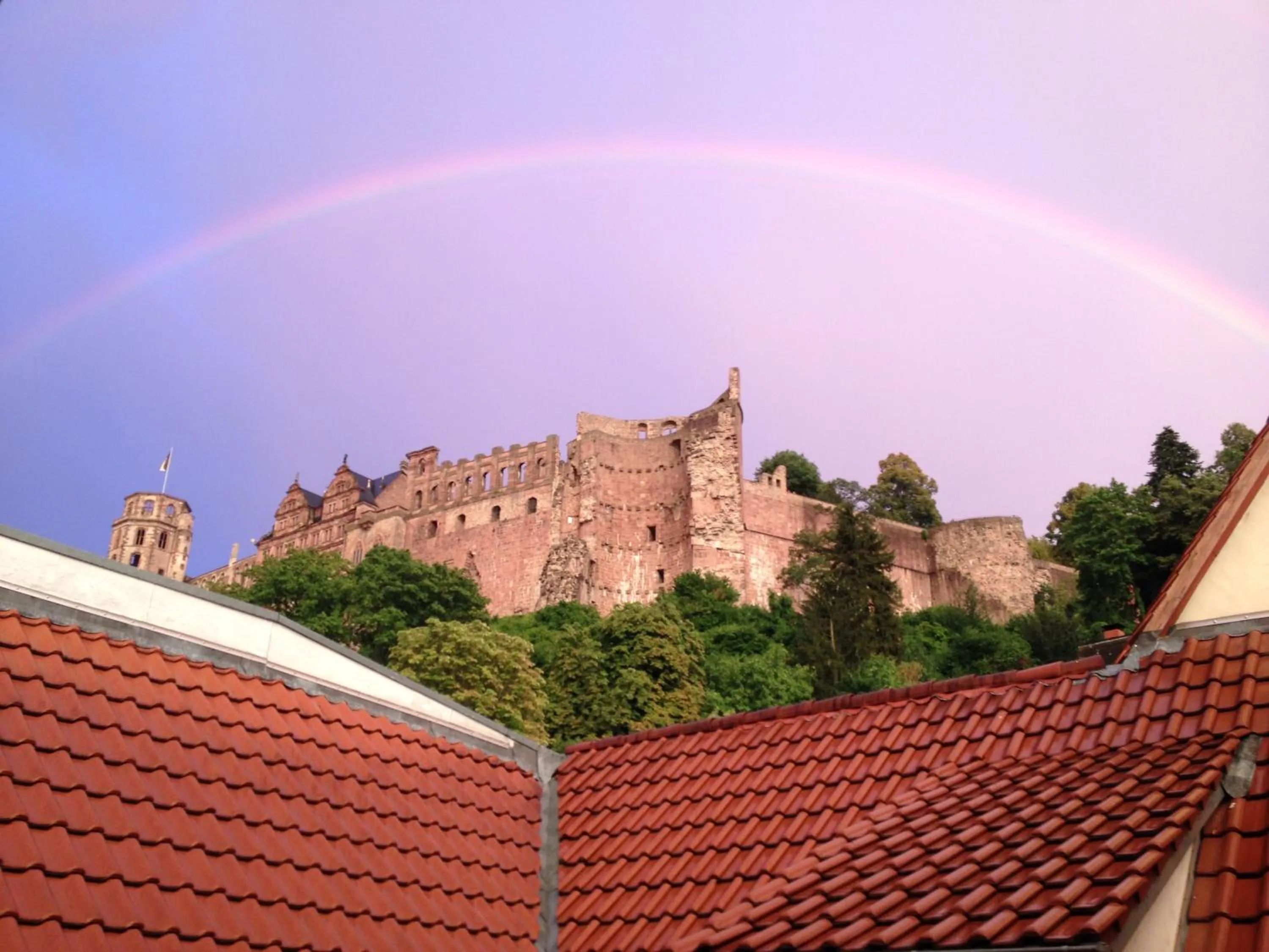 Nearby landmark in Lotte - The Backpackers