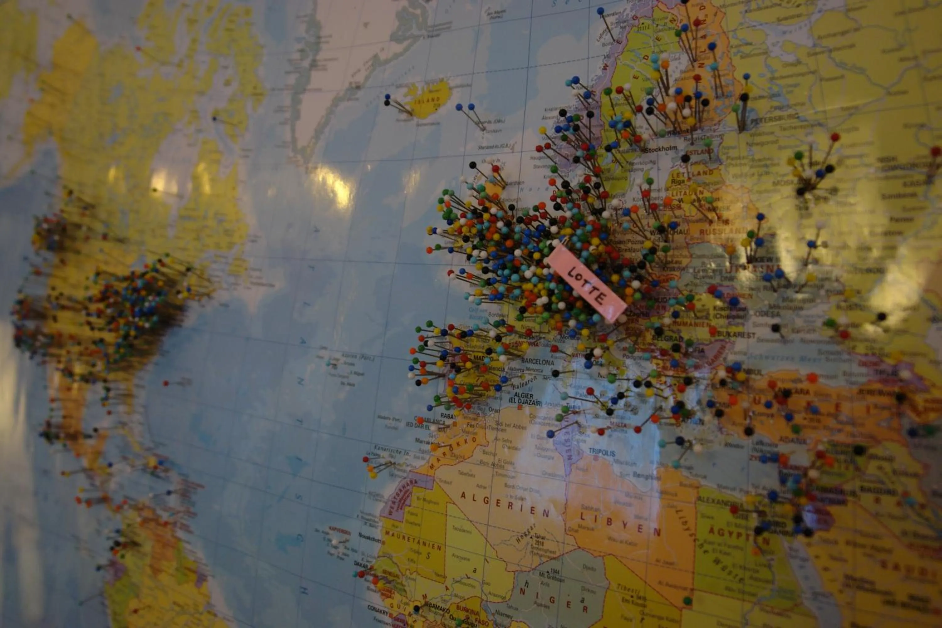 Decorative detail in Lotte - The Backpackers