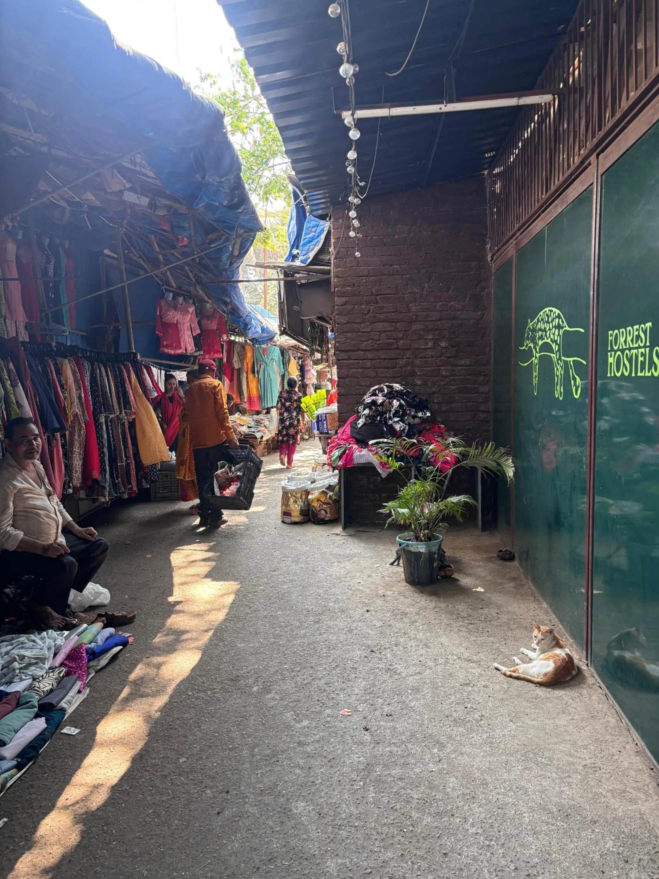 Forrest Hostels