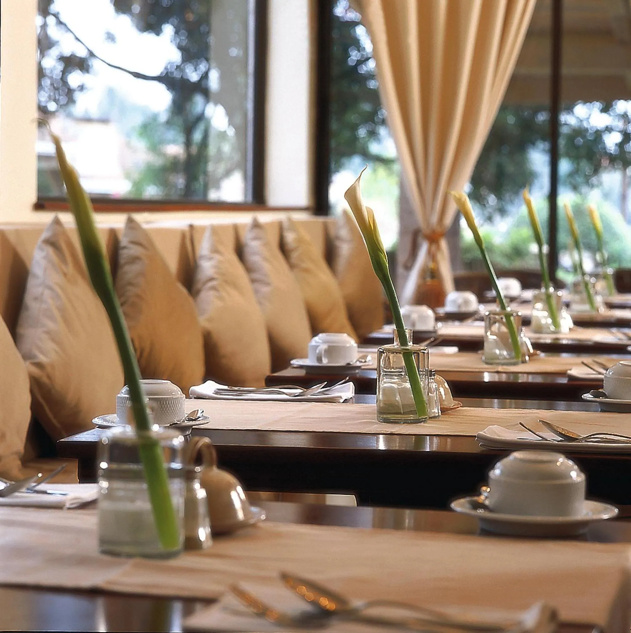 Restaurant/places to eat in Palacina The Residence & The Suites