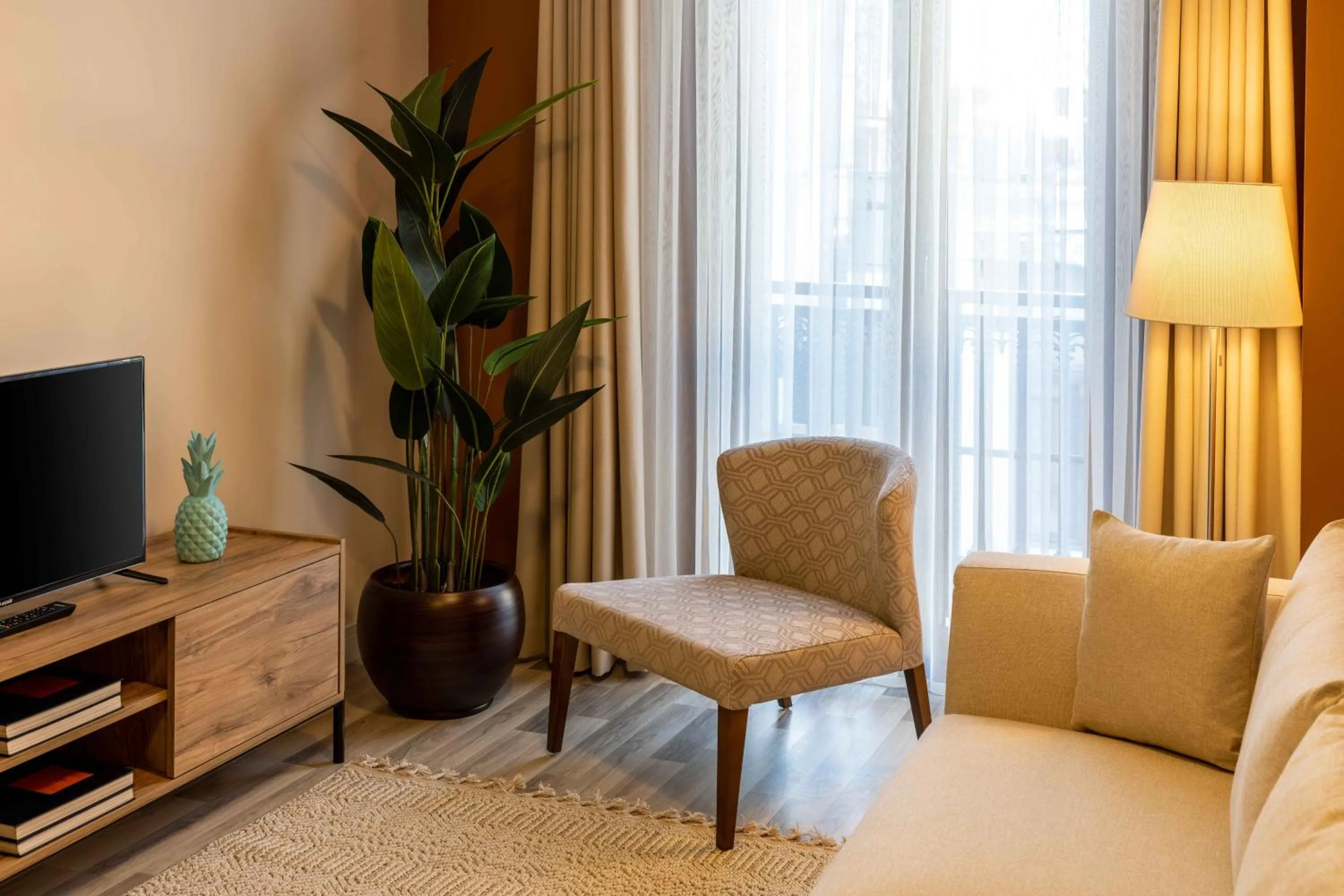 TV and multimedia in Monnas Suite