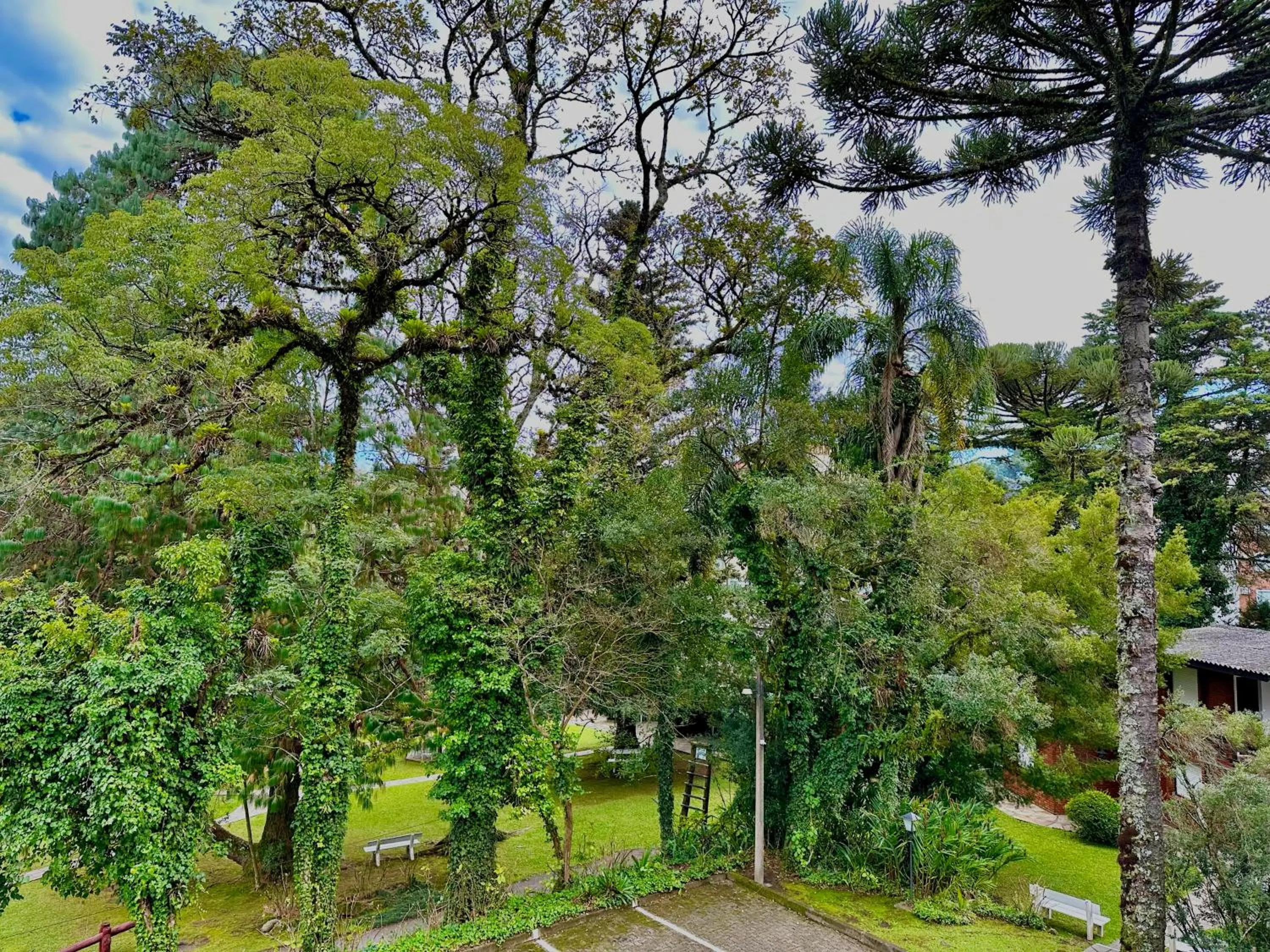 Garden view in Natur Hotel - 700m da Rua Coberta
