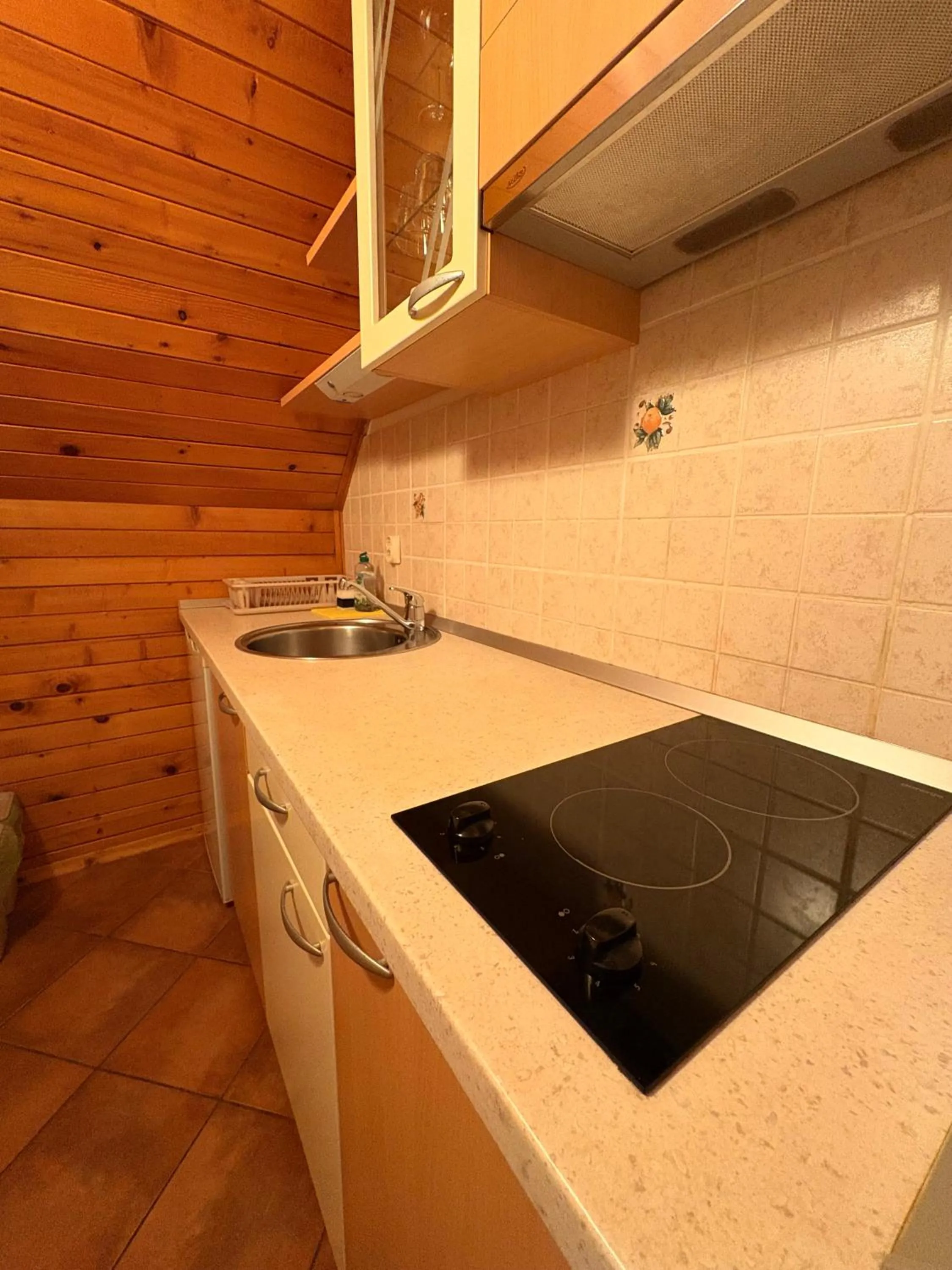 Kitchen or kitchenette in Guesthouse Les