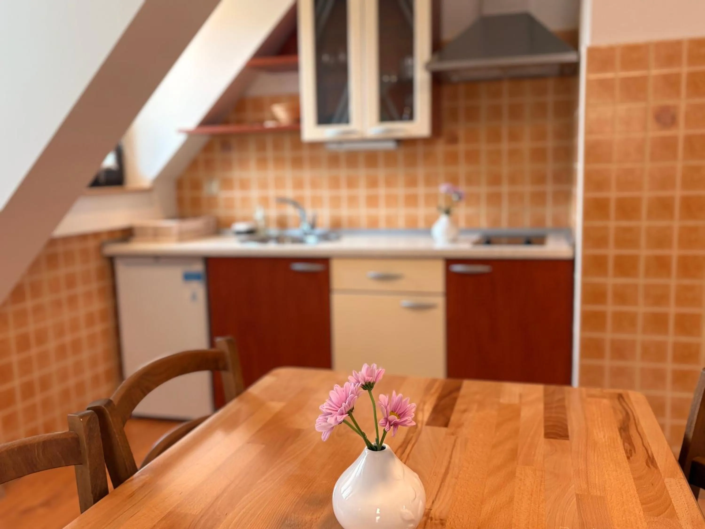 Kitchen or kitchenette in Guesthouse Les
