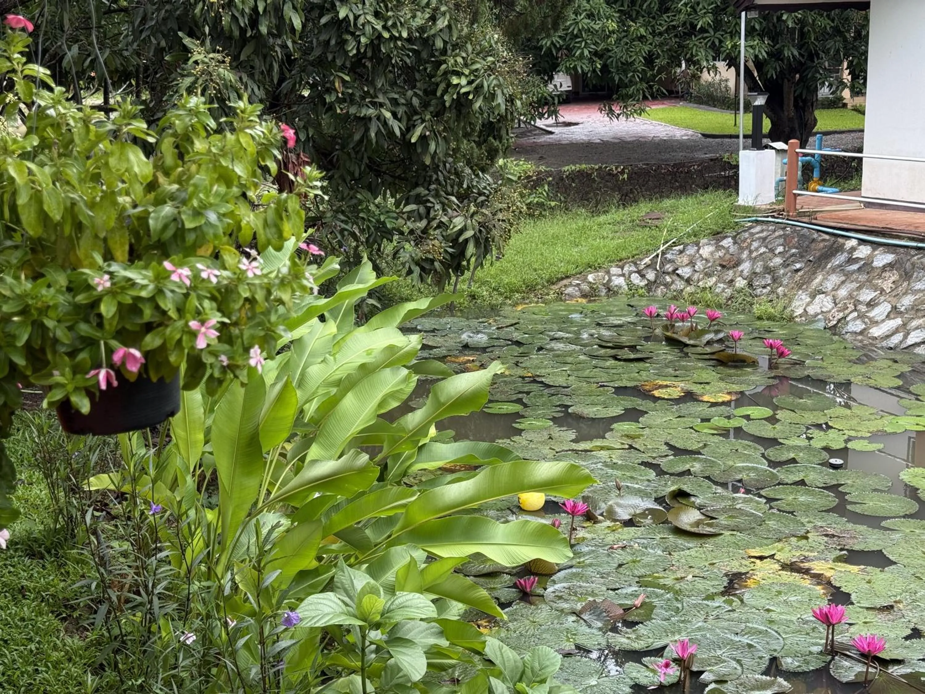 Saku Boutique Homestay