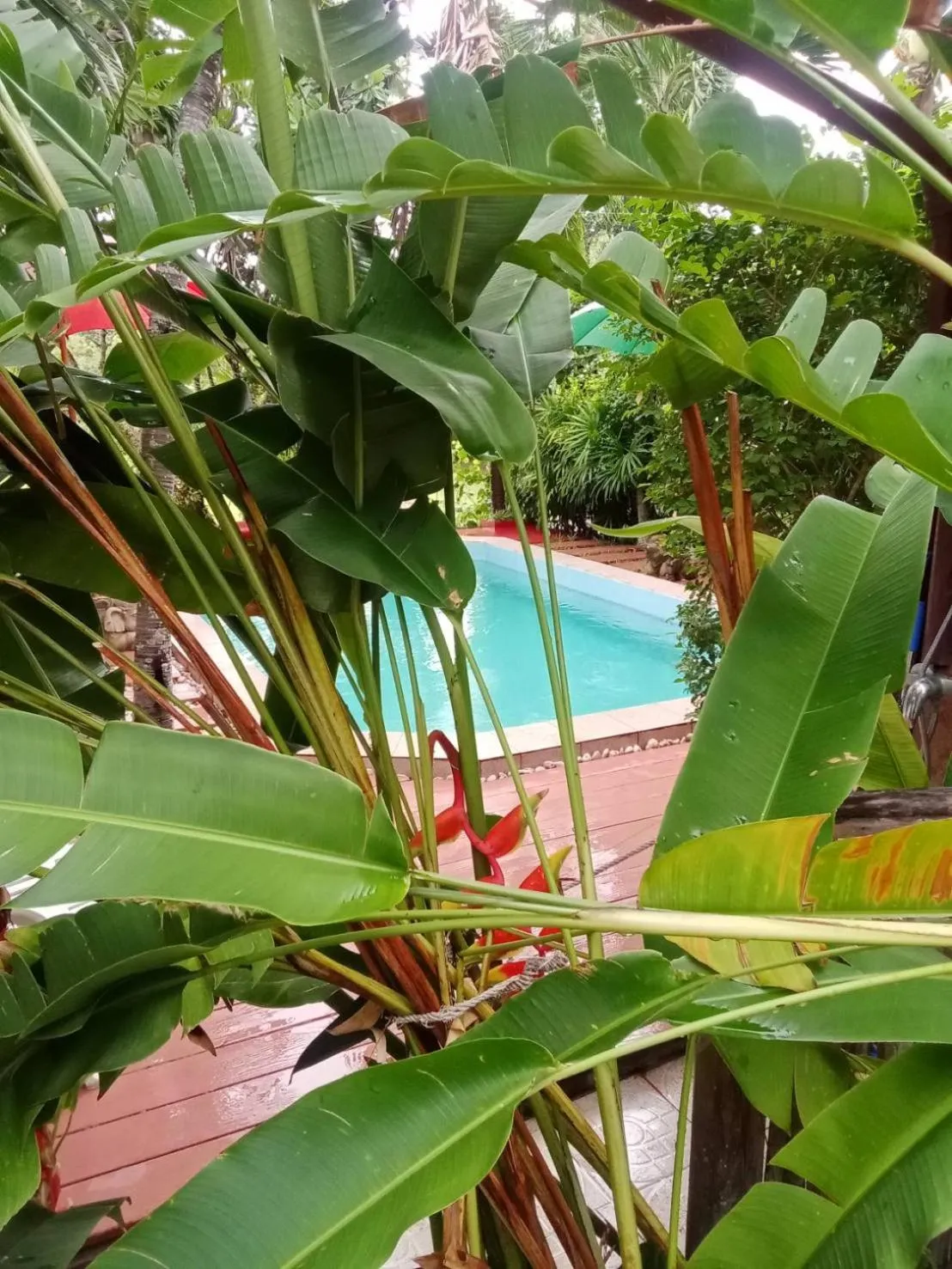 Saku Boutique Homestay