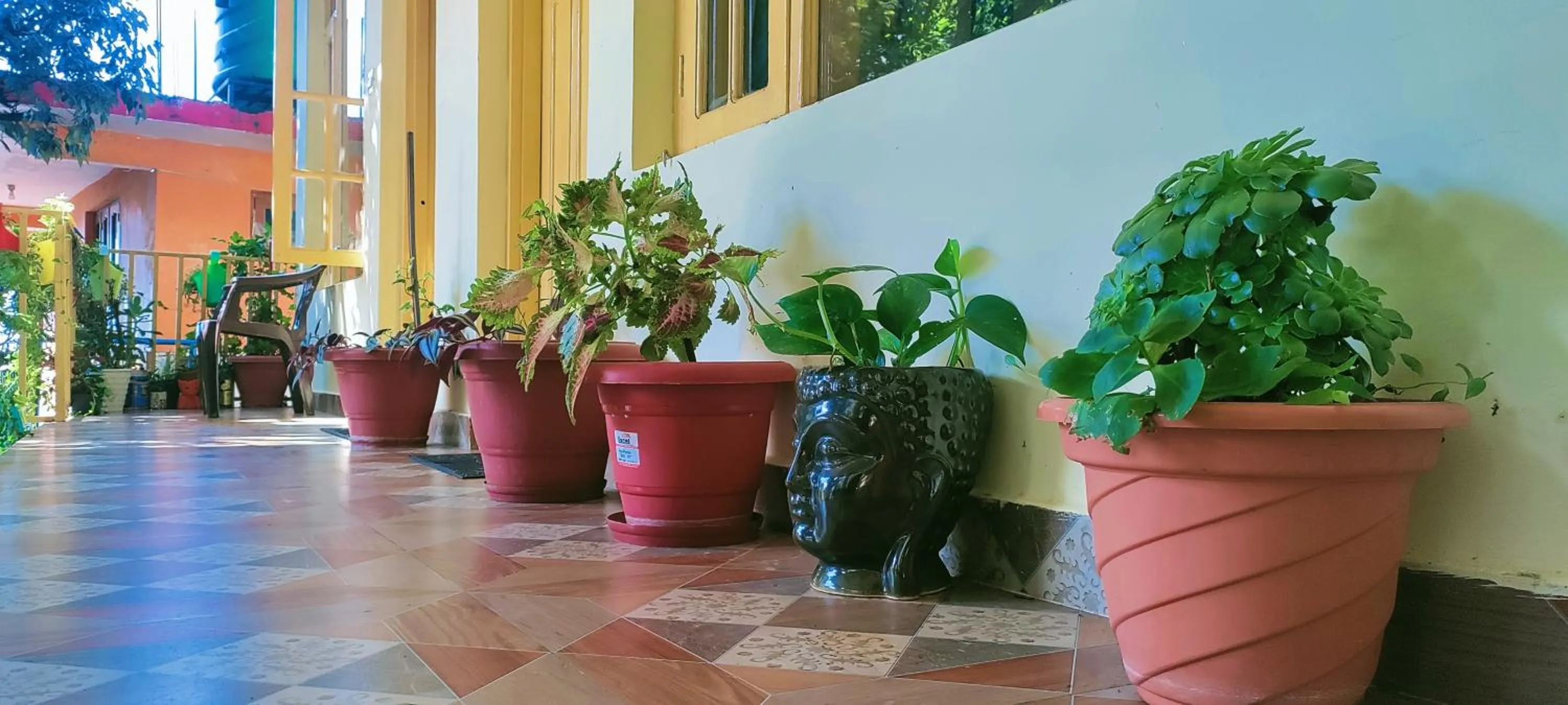 Patio in The Unmad - Dharamkot