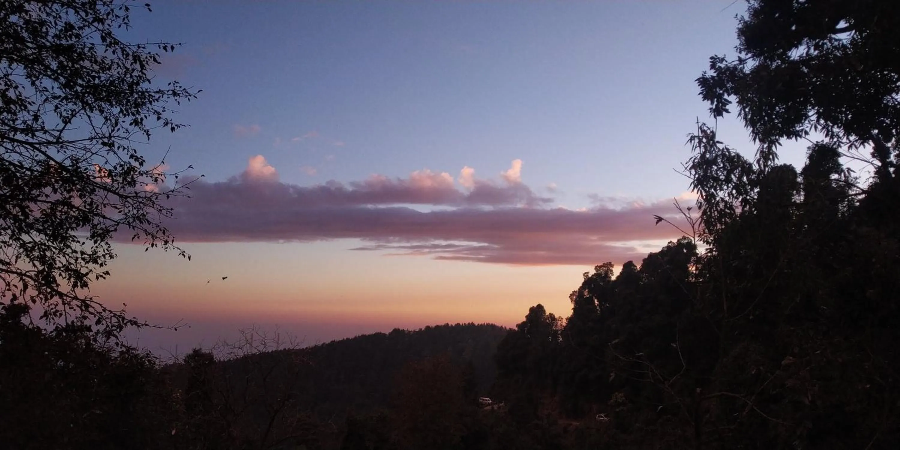 Natural landscape in The Unmad - Dharamkot
