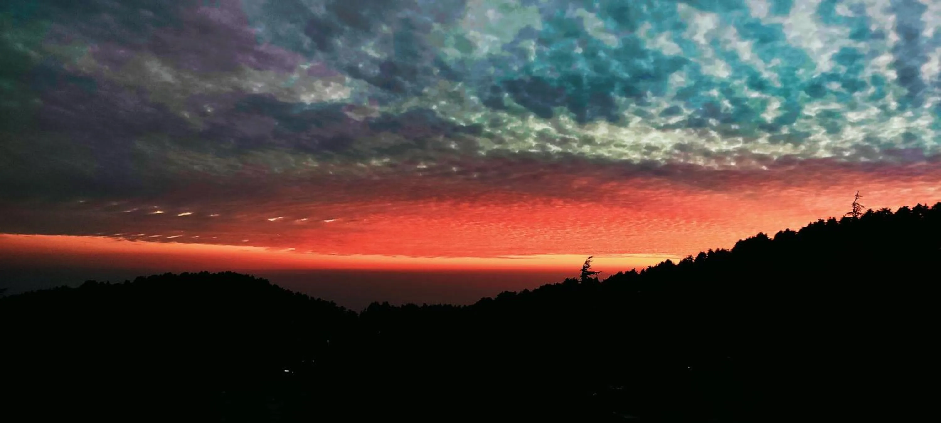 Natural landscape in The Unmad - Dharamkot