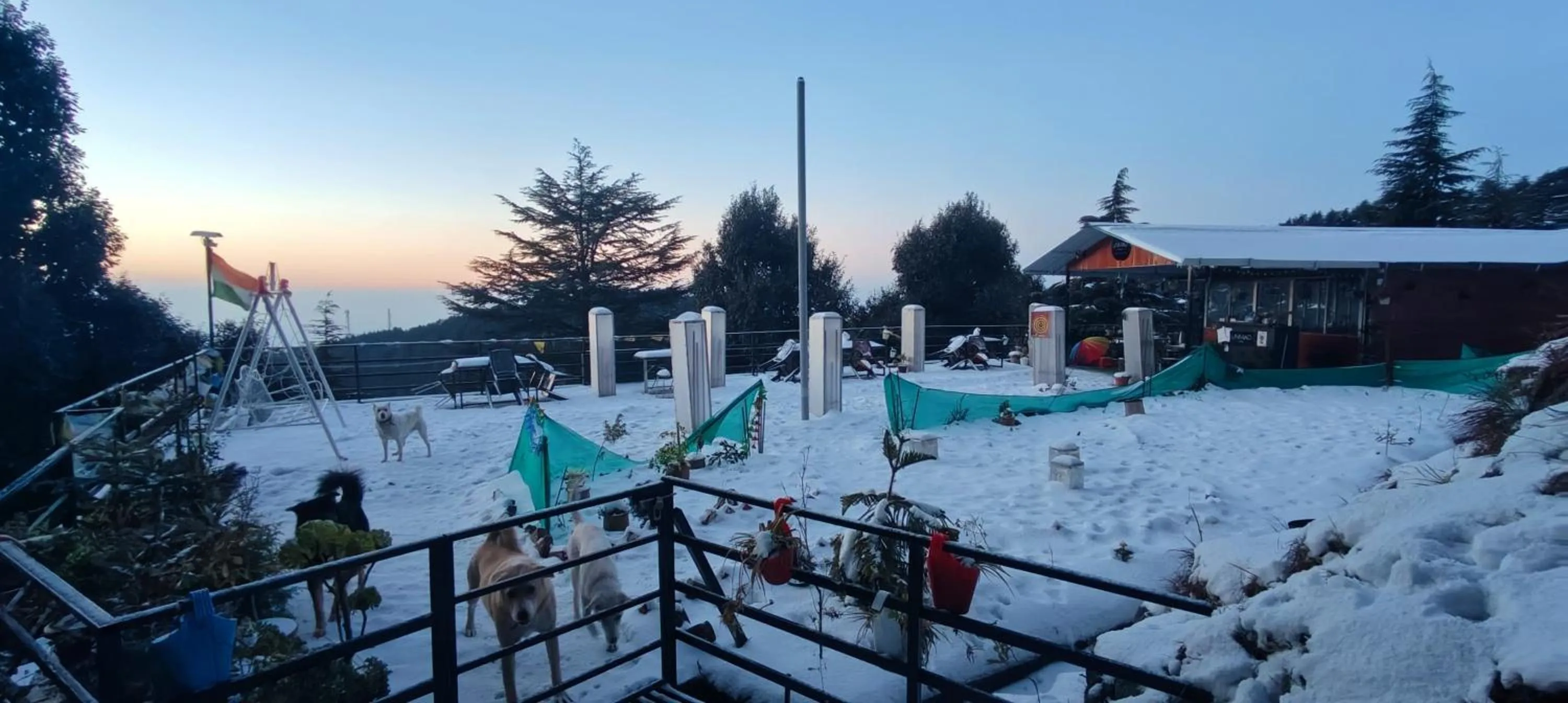 Day in The Unmad - Dharamkot