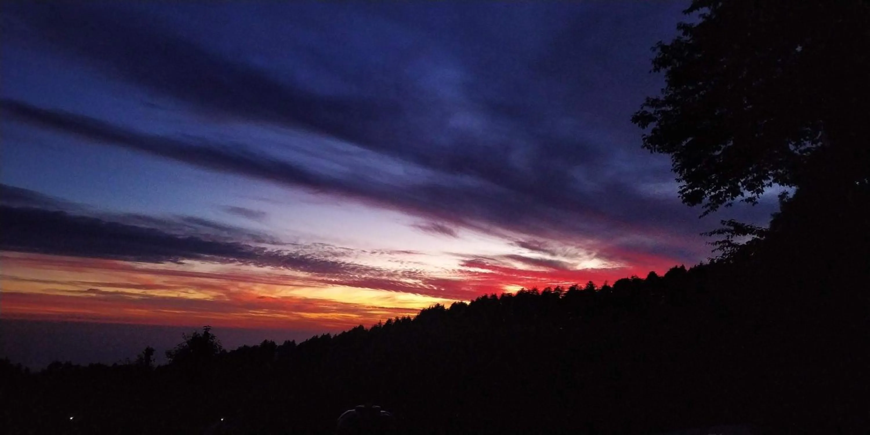 Natural landscape in The Unmad - Dharamkot