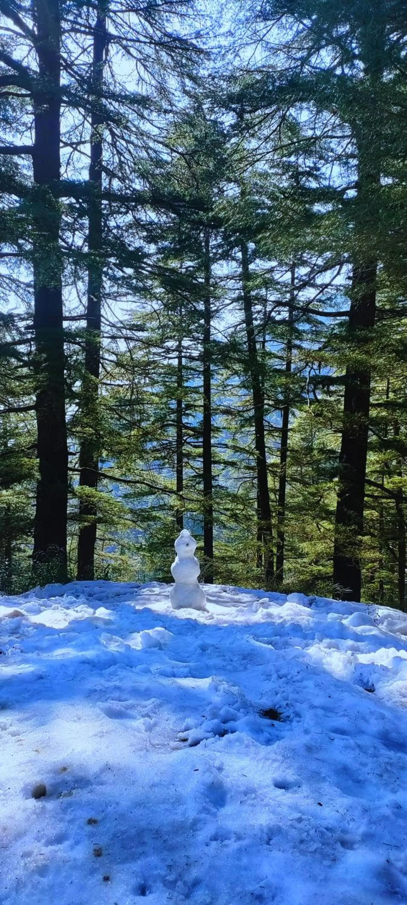 Natural landscape in The Unmad - Dharamkot