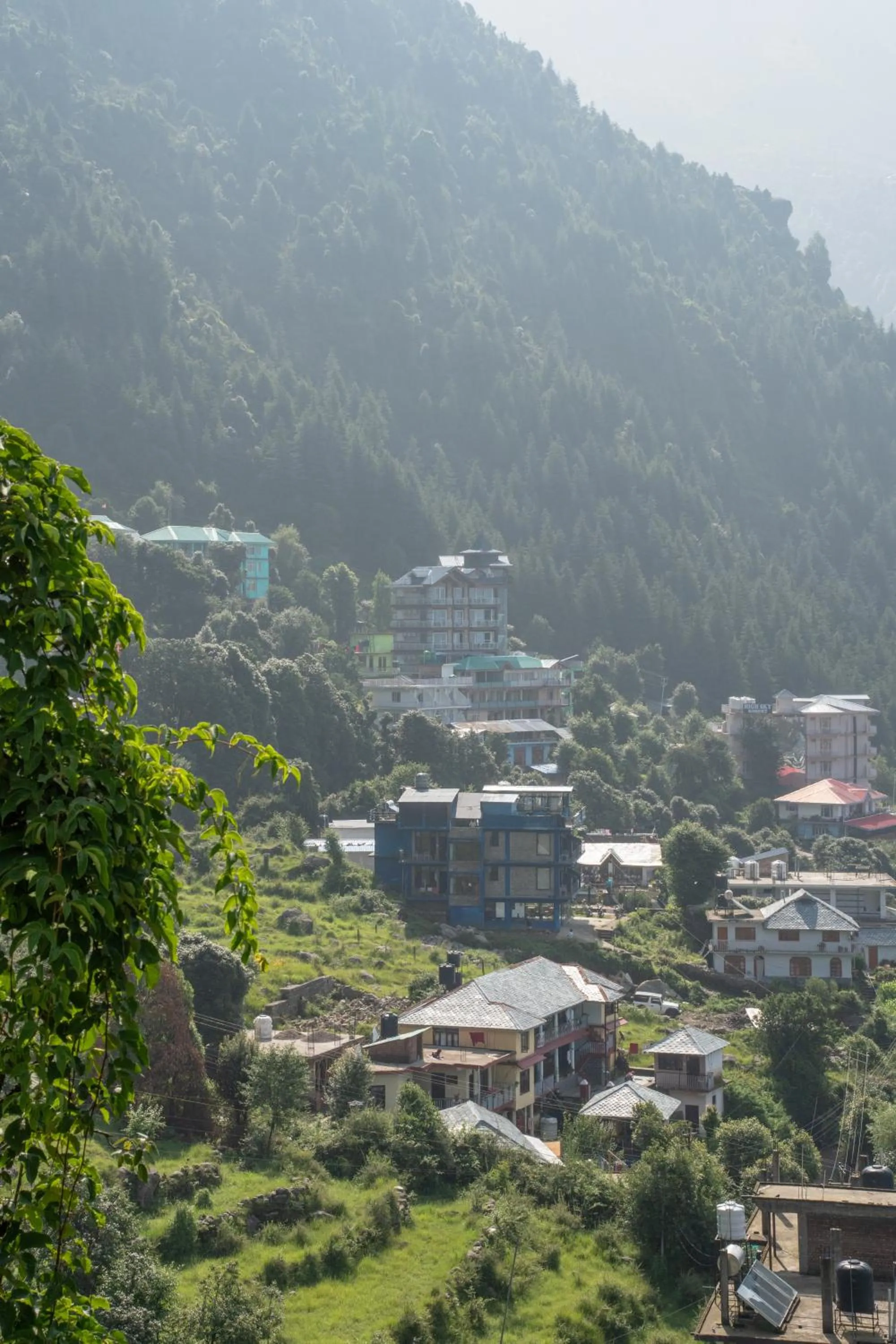Spring in The Unmad - Dharamkot
