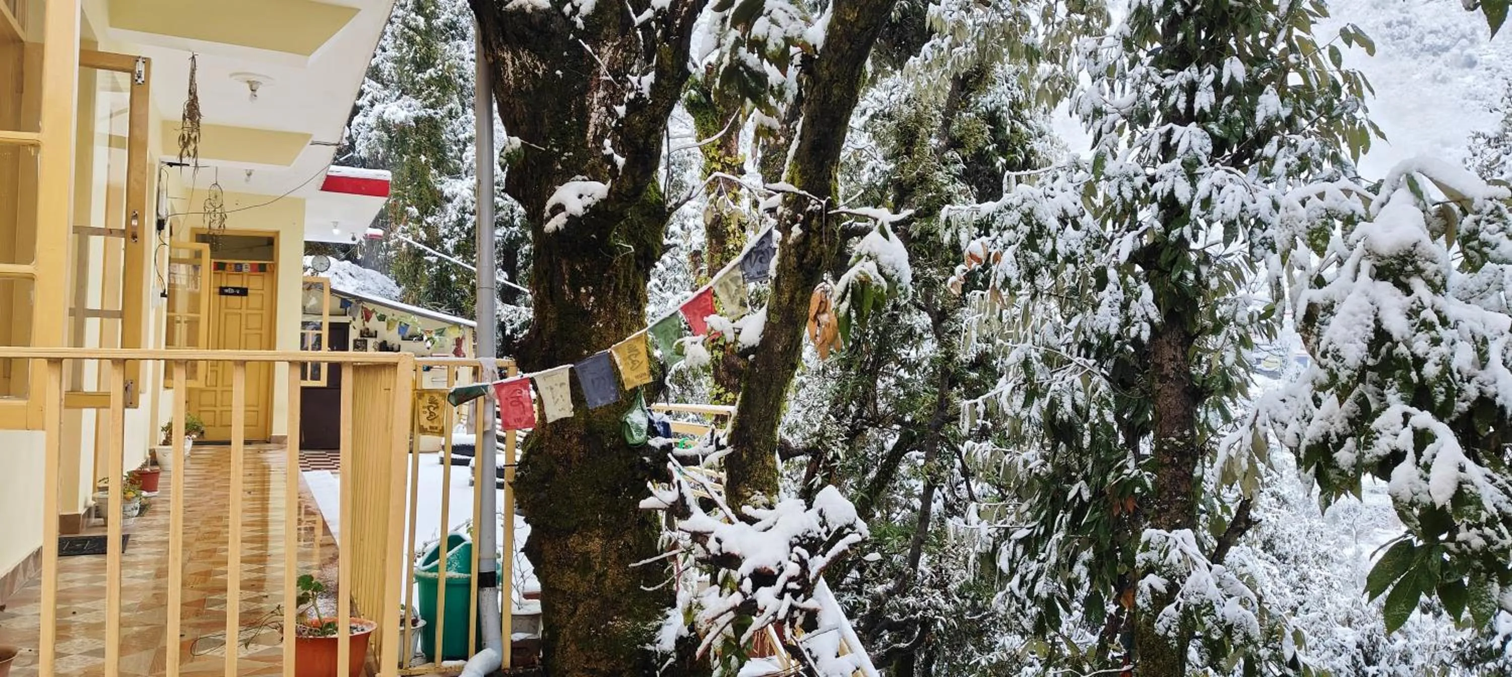 Natural landscape in The Unmad - Dharamkot