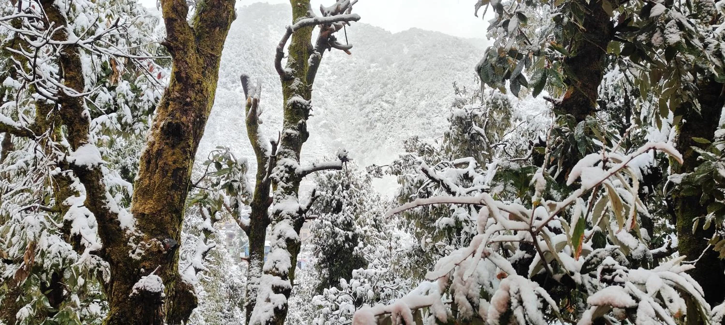 Natural landscape in The Unmad - Dharamkot