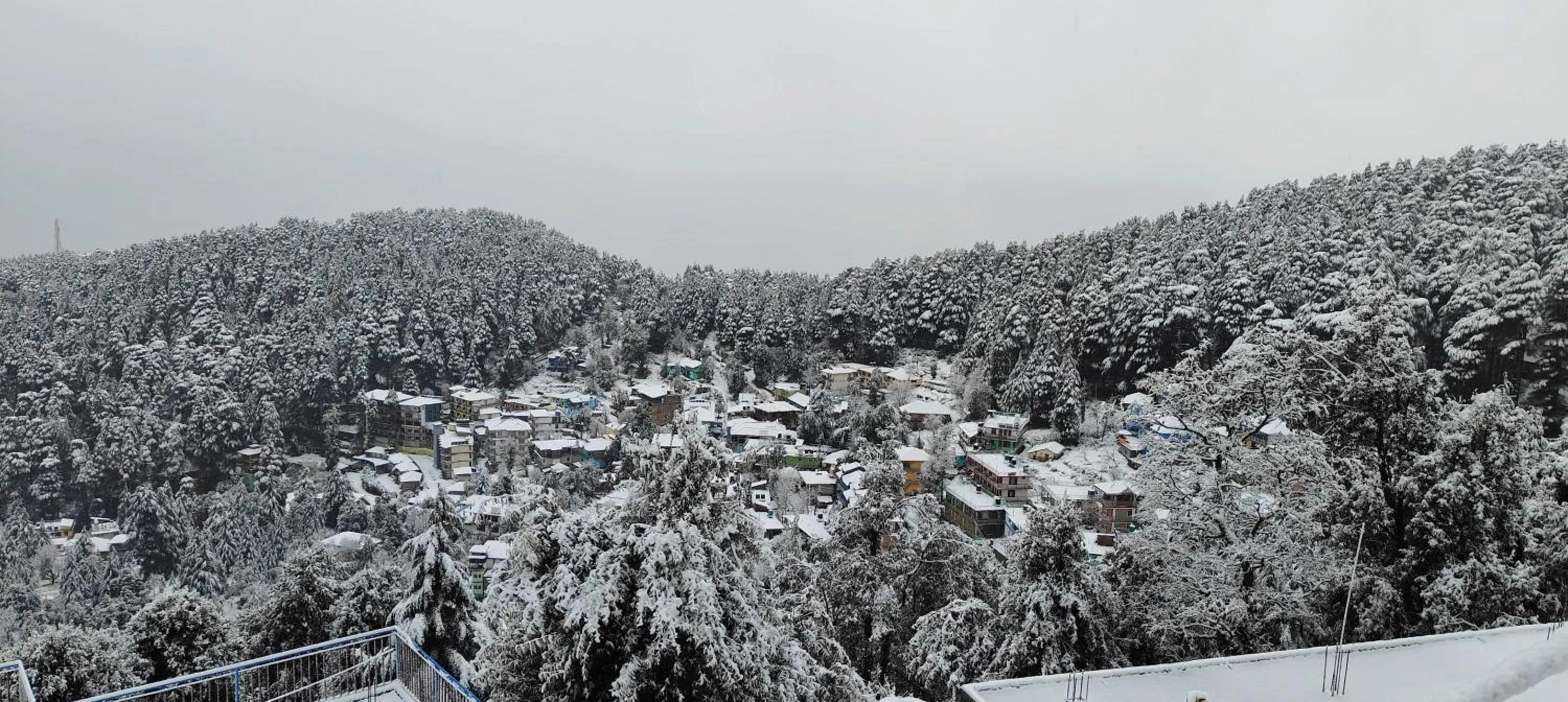 Natural landscape in The Unmad - Dharamkot