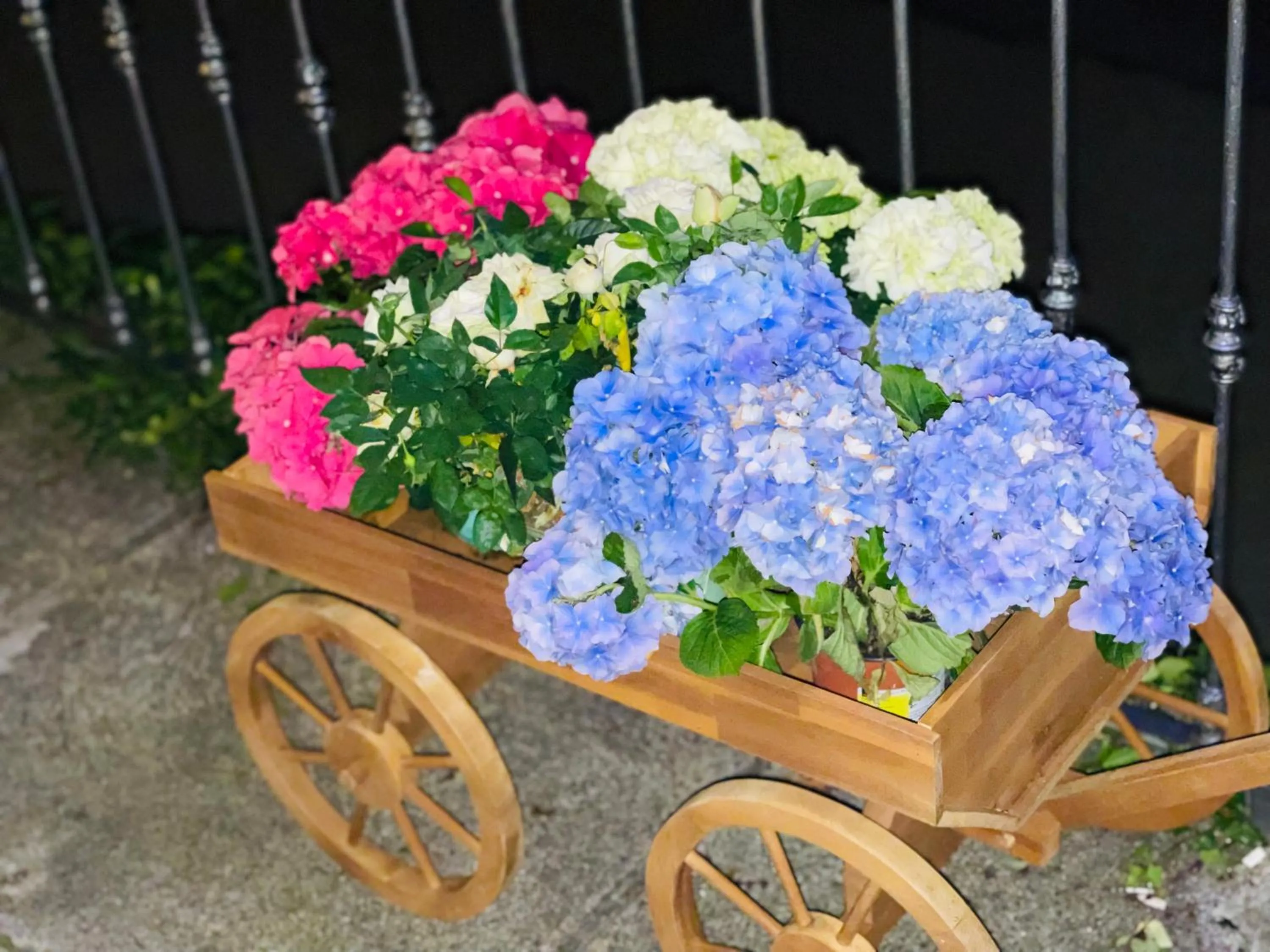 Garden in Hotel Sternen Worb