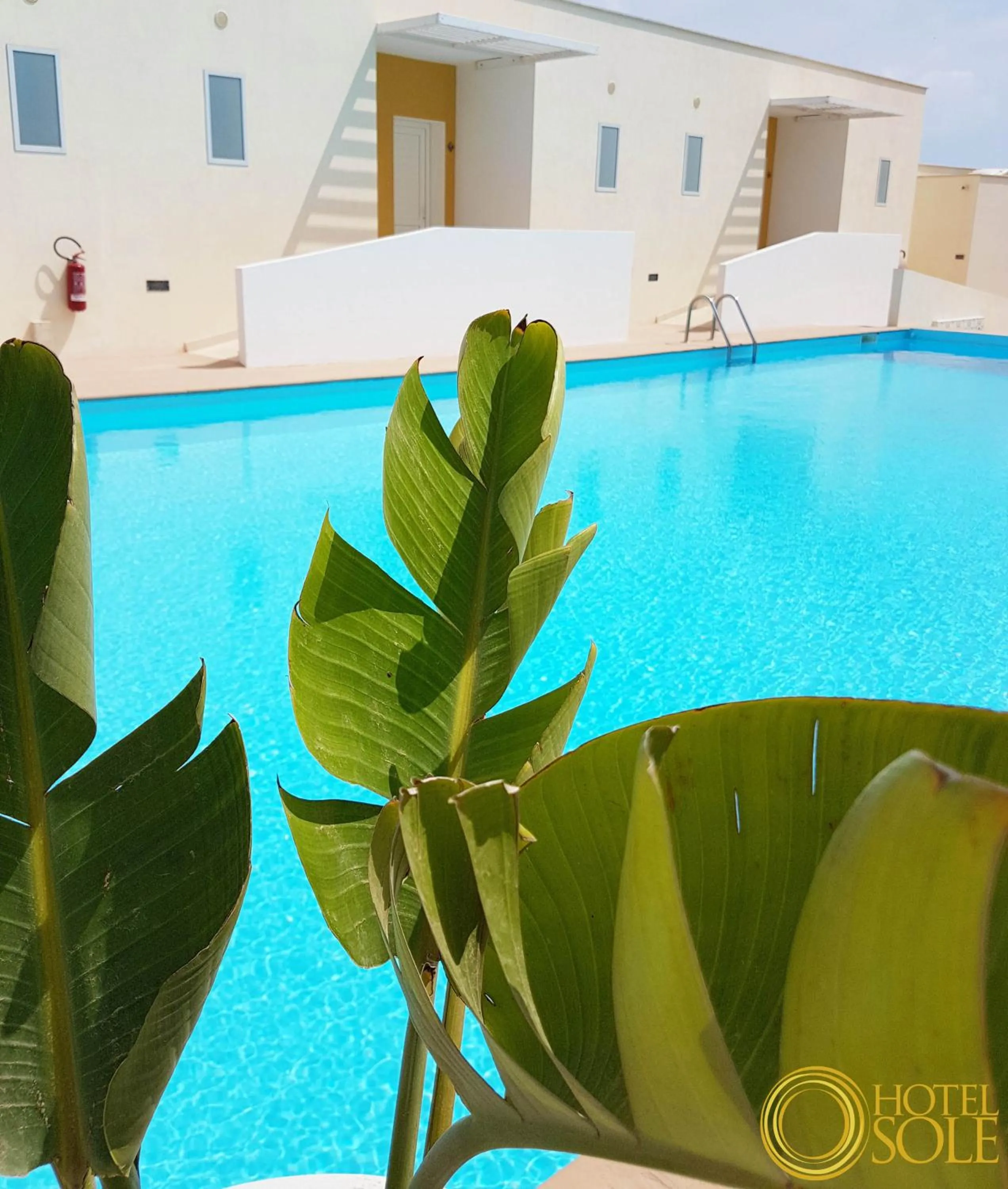 Activities in Hotel Sole