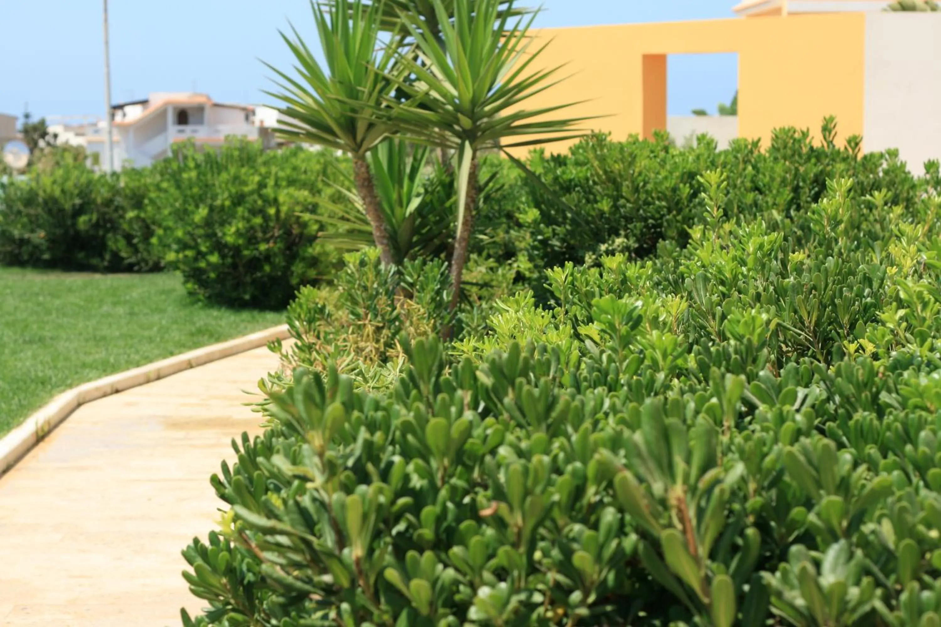 Garden in Hotel Sole